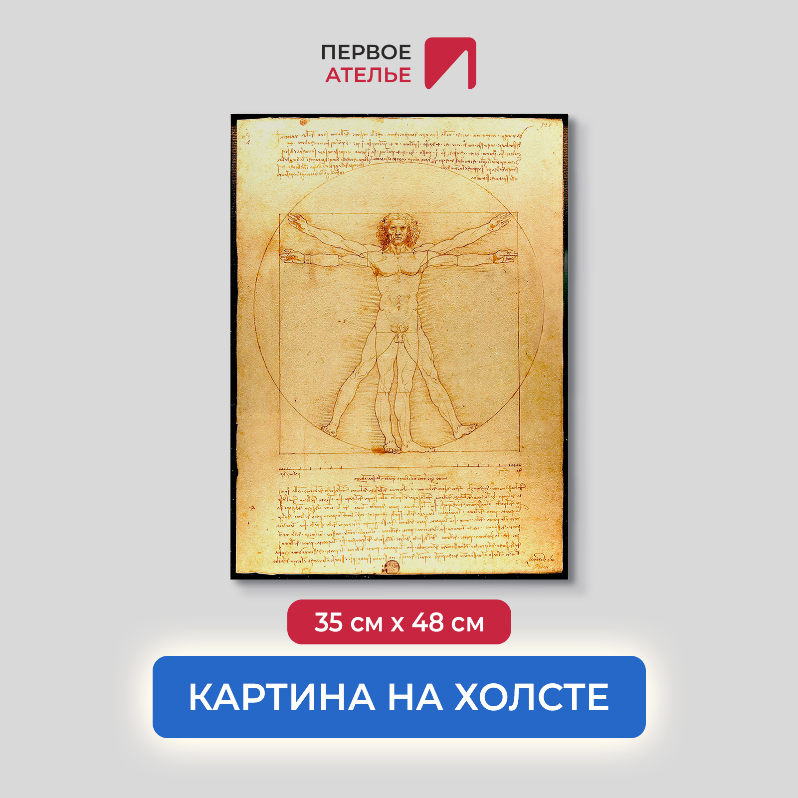 

Картина на холсте репродукция Леонардо Да Винчи "Витрувианский человек" 35х48 см, Витрувианский человек