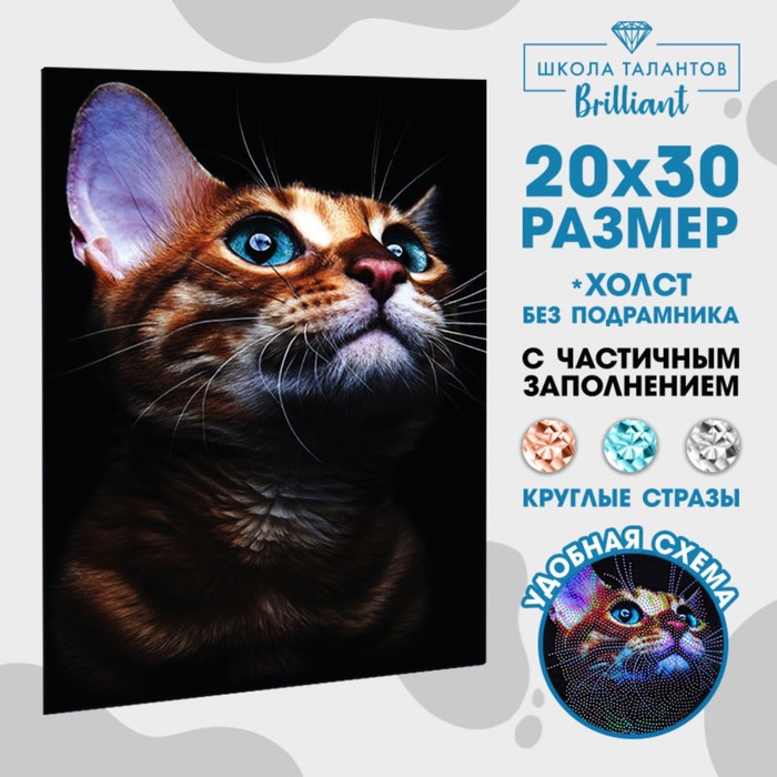 

Алмазная мозаика с частичным заполнением «Взгляд кошки» 20х30 см, на холсте