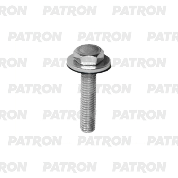 

PATRON P37-2947T Винт металлический с шайбой, универсальный M6x30x16mm 10шт