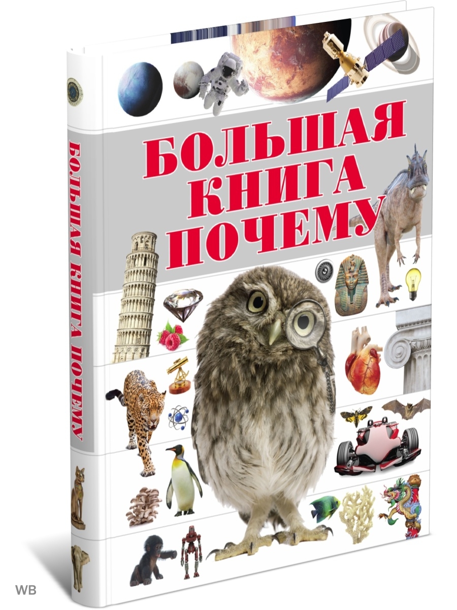 

Большая книга Почему, энциклопедия для детей, школьников