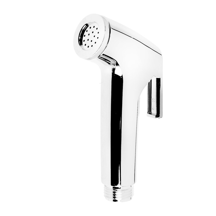 

Гигиеническая лейка Accoona G77, белая, Хром