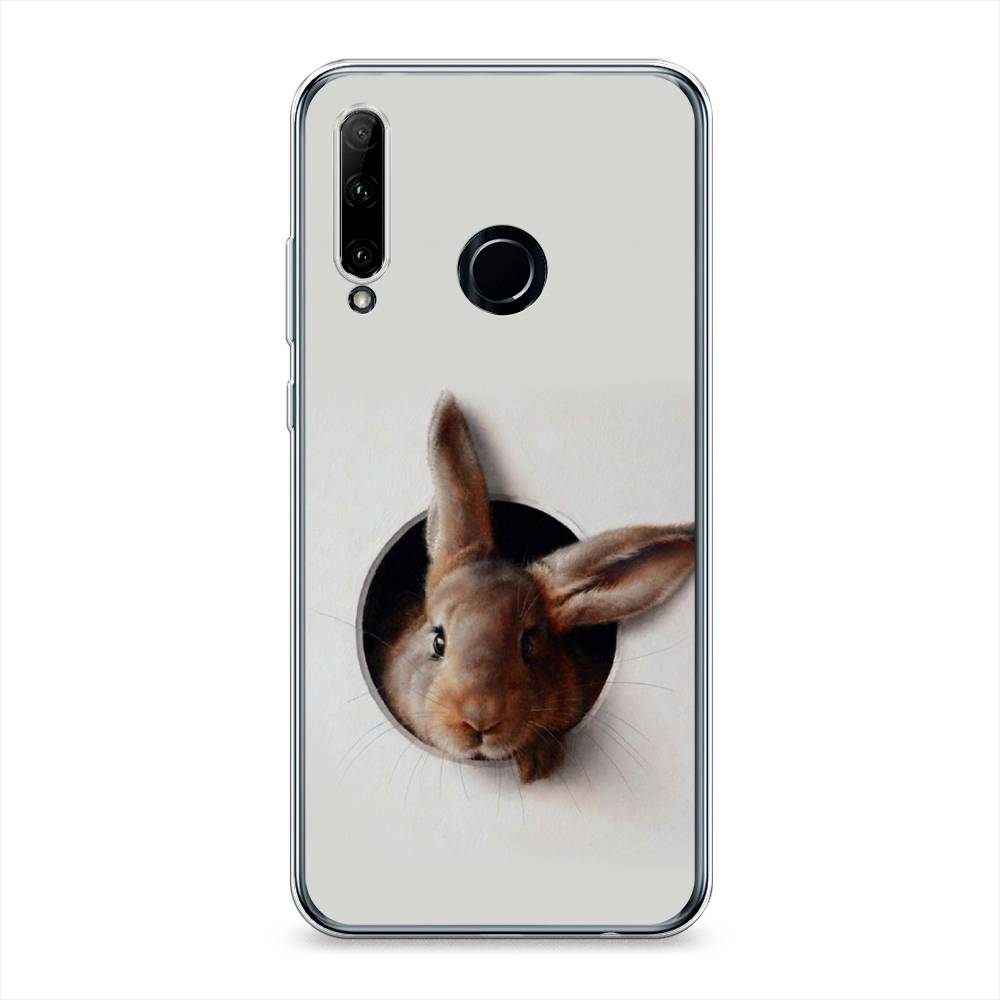

Чехол на Honor 10i "Любопытный кролик", Серый;коричневый, 68850-1
