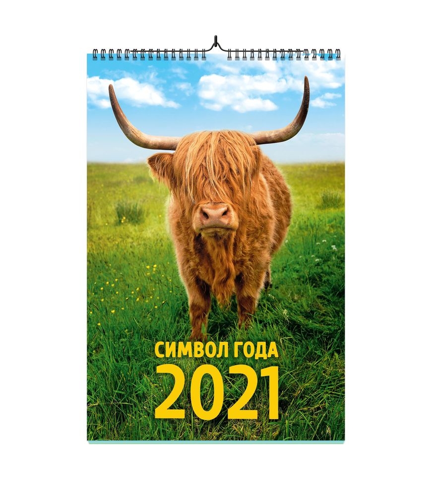 

Календарь ND Play на 2021 год. Символ года дизайн 1 (настенный, на спирале)