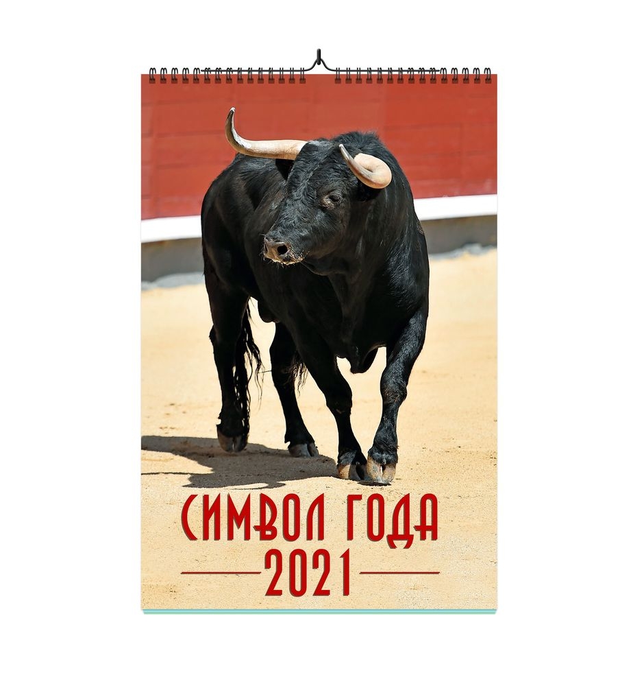 

Календарь ND Play на 2021 год. Символ года дизайн 2 (настенный, на спирале)