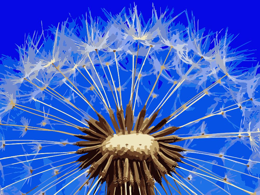 

Картина по номерам Фрея Одуванчик, Фрея Одуванчик