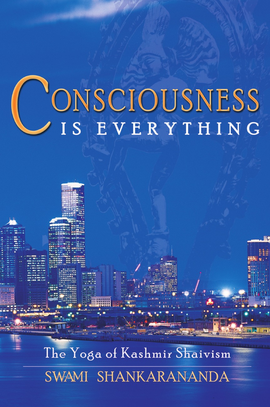 

Consciousness Is Everything