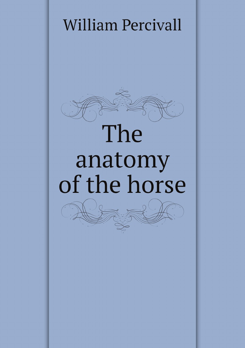 

The anatomy of the horse