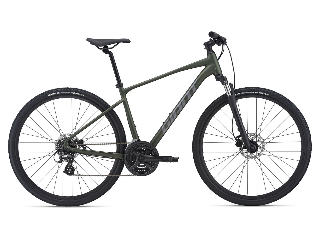 фото Велосипед giant roam 4 disc 2021 l moss green