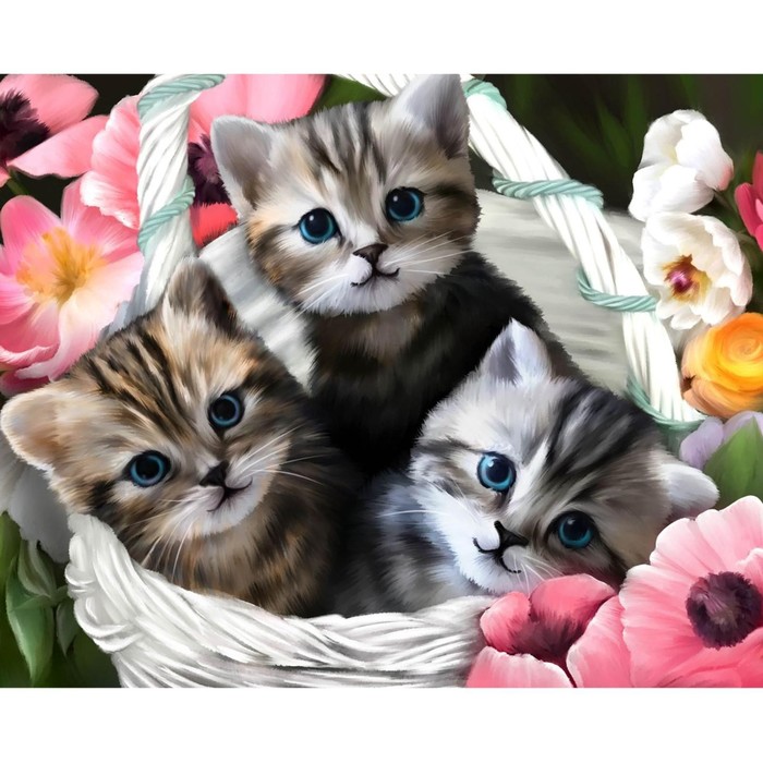 

Алмазная мозаика с полным заполнением «Котята» 50x60 см, на подрамнике