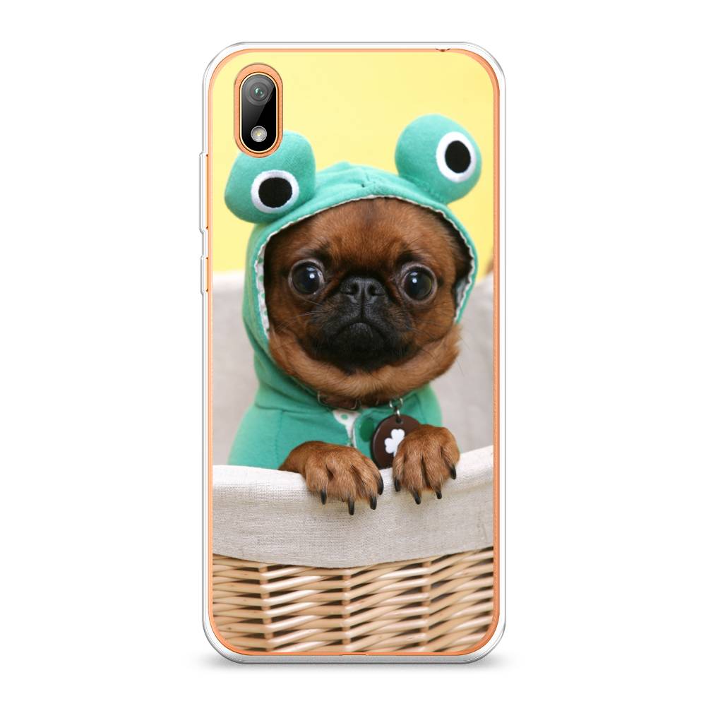 

Чехол на Huawei Y5 2019/Honor 8S/8S Prime "Собачка в шапке лягушки", Коричневый;желтый;голубой, 69050-1