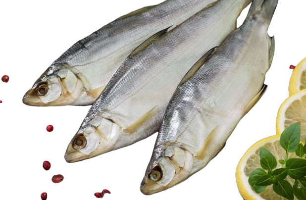 

Пелядь слабосоленая