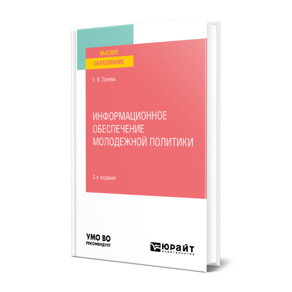 фото Книга информационное обеспечение молодежной политики юрайт