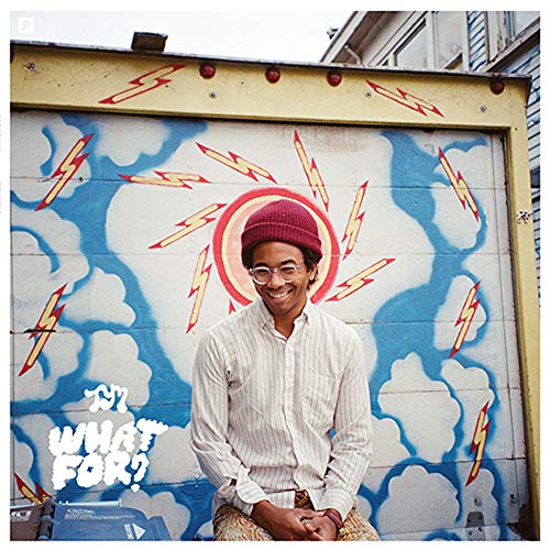 Toro Y Moi What For (Винил)