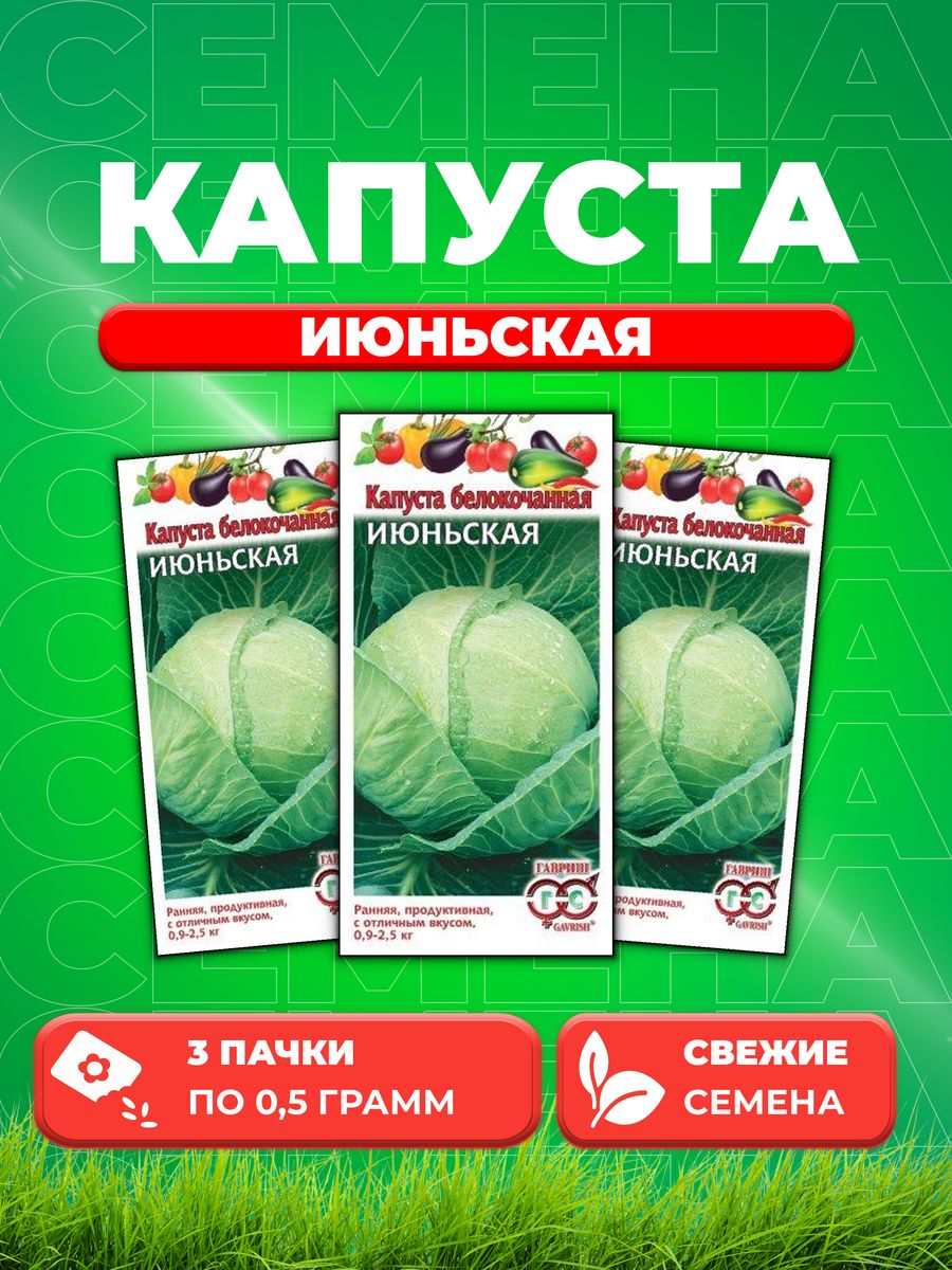 

Семена капуста белокочанная Июньская Гавриш 000251-3 3 уп.