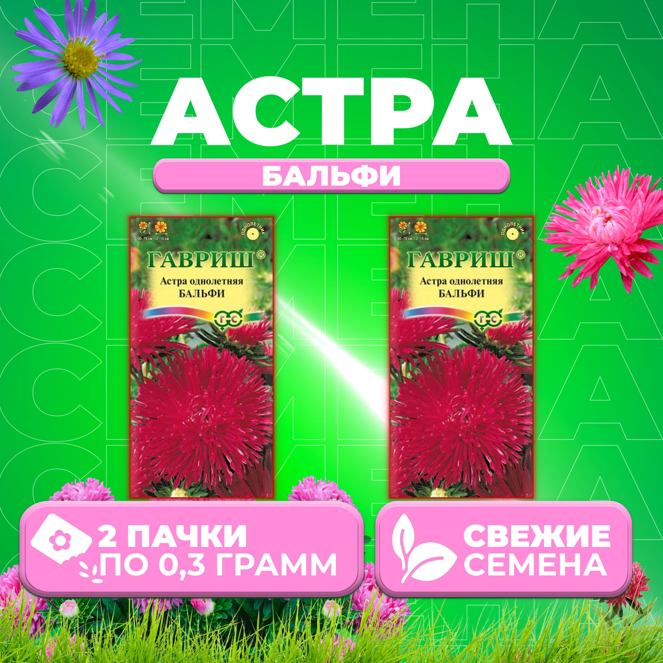 

Семена Астра Бальфи, игольчатая, 0,3г, Гавриш, Цветочная коллекция 2 уп