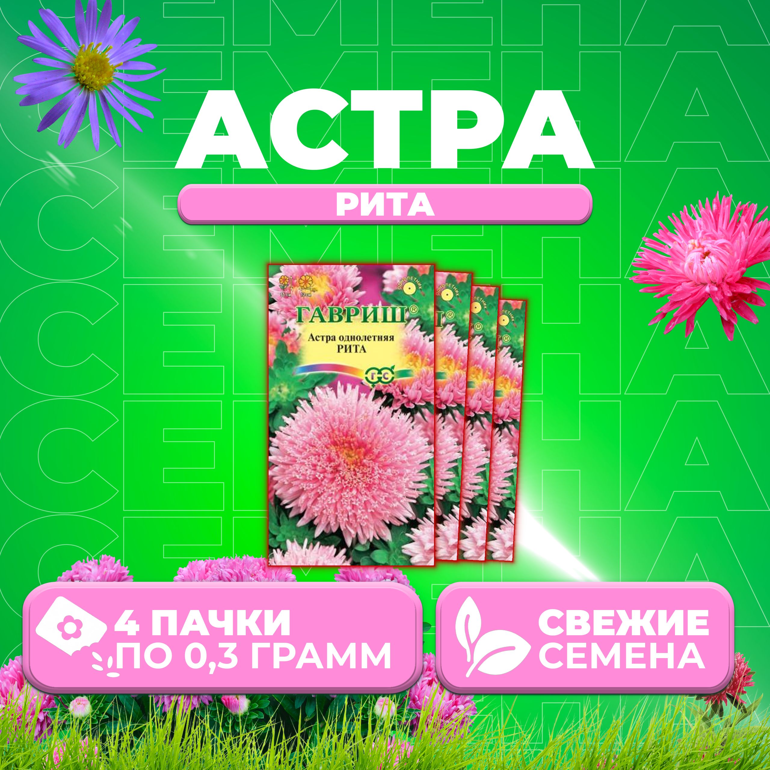 

Семена Астра Рита, 0,3г, Гавриш, Цветочная коллекция 4 уп