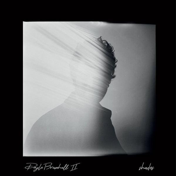 

Doyle Bramhall II: Shades (1 CD)