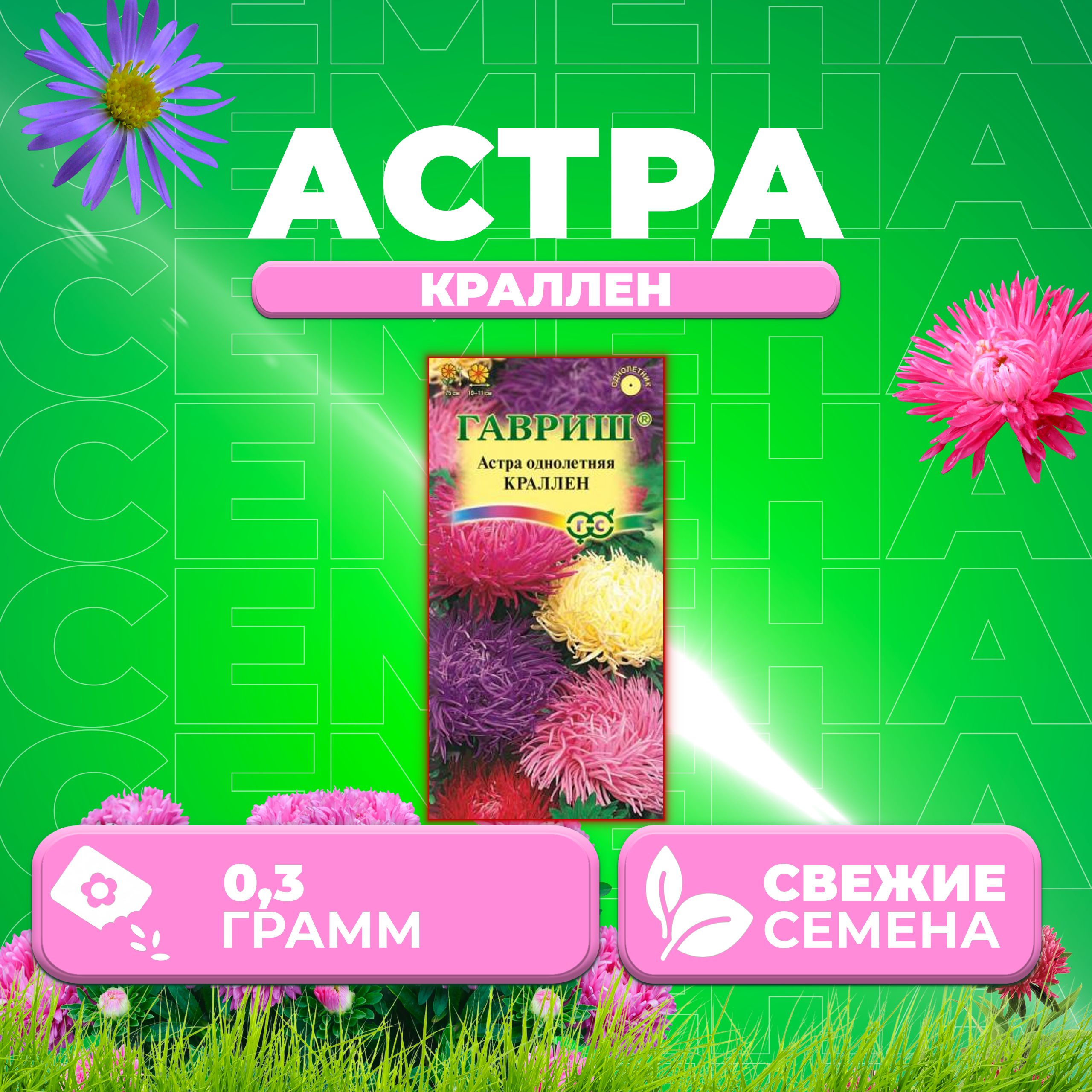 

Семена Астра Краллен, коготковая, смесь, 0,3г, Гавриш, Цветочная коллекция 1 уп