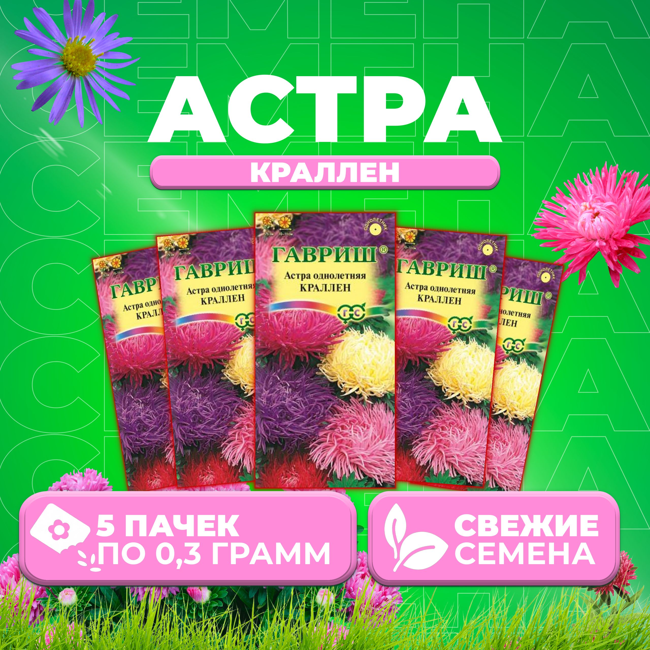 

Семена Астра Краллен, коготковая, смесь, 0,3г, Гавриш, Цветочная коллекция 5 уп