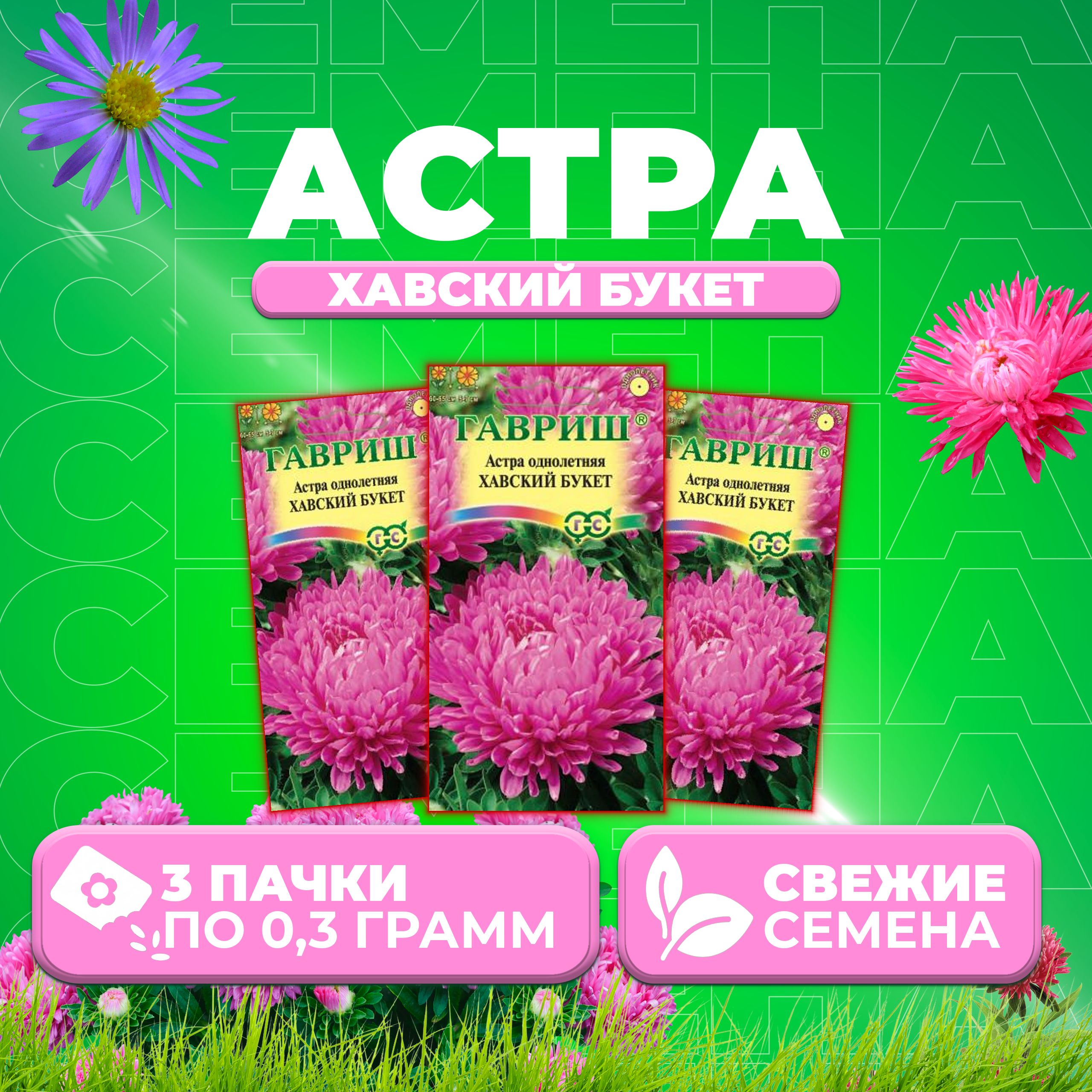 

Семена Астра Хавский букет, воронежская, 0,3г, Гавриш, Цветочная коллекция 3 уп
