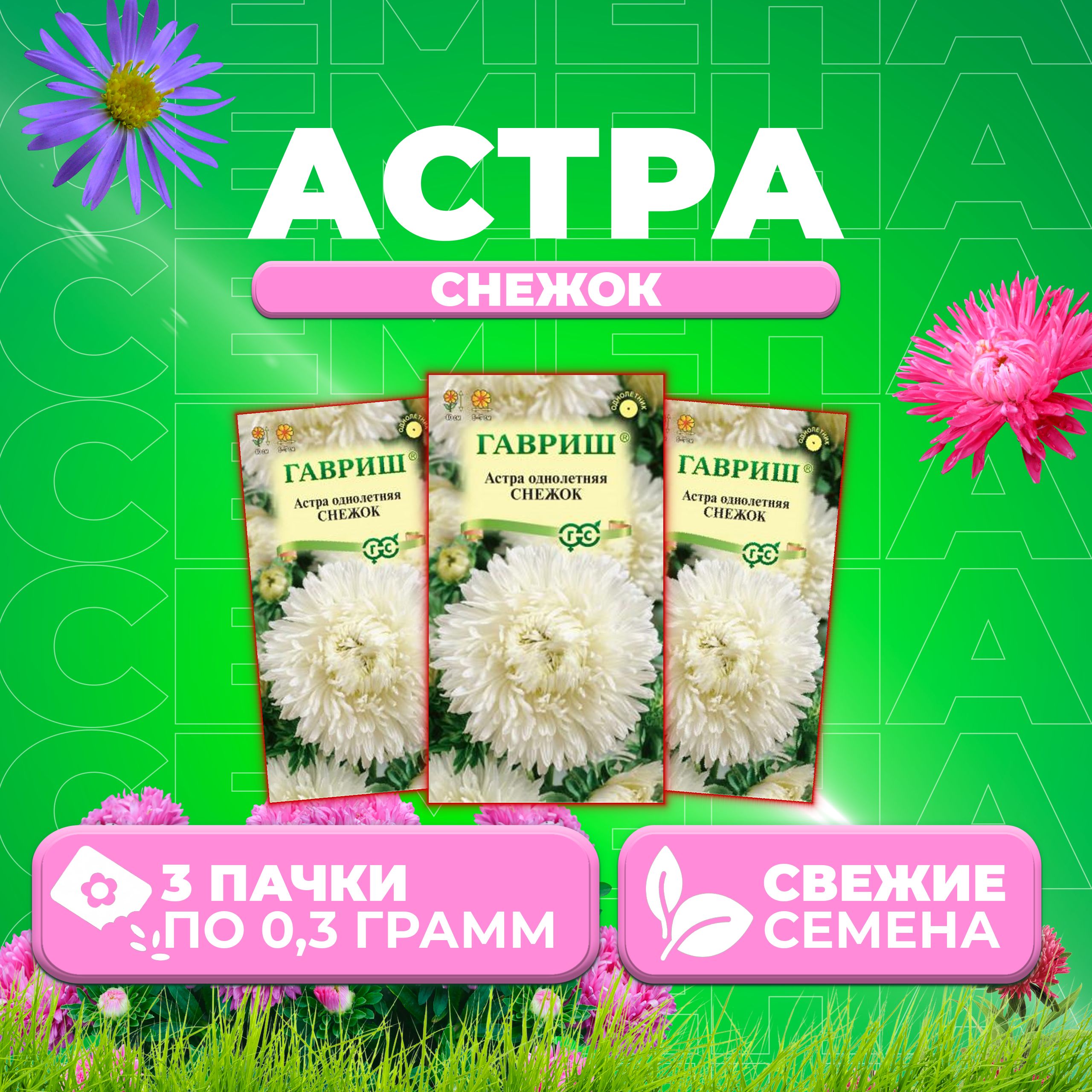 

Семена Астра Снежок, воронежская, 0,3г, Гавриш, Цветочная коллекция 3 уп