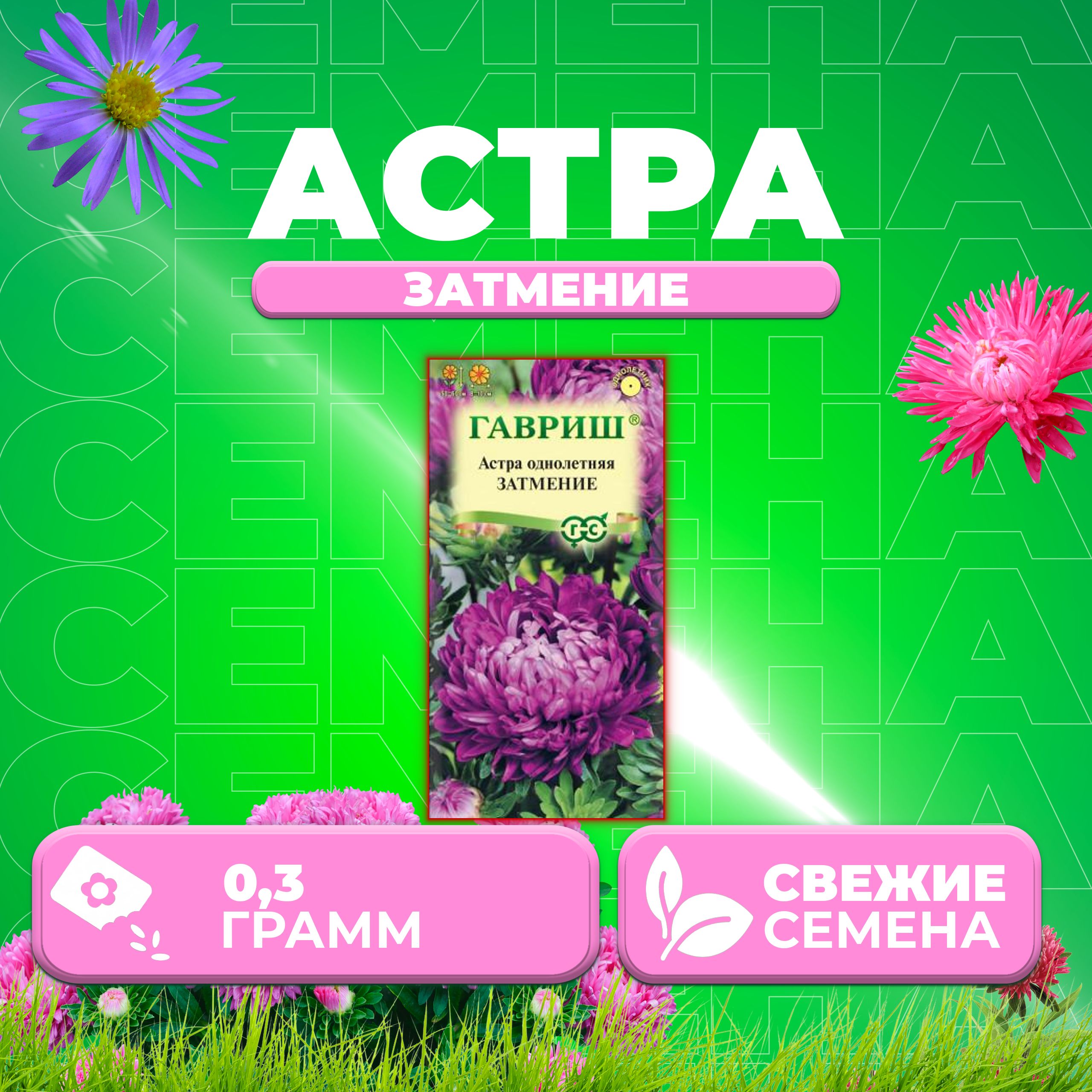 

Семена Астра Затмение, пионовидная, 0,3г, Гавриш, Цветочная коллекция 1 уп