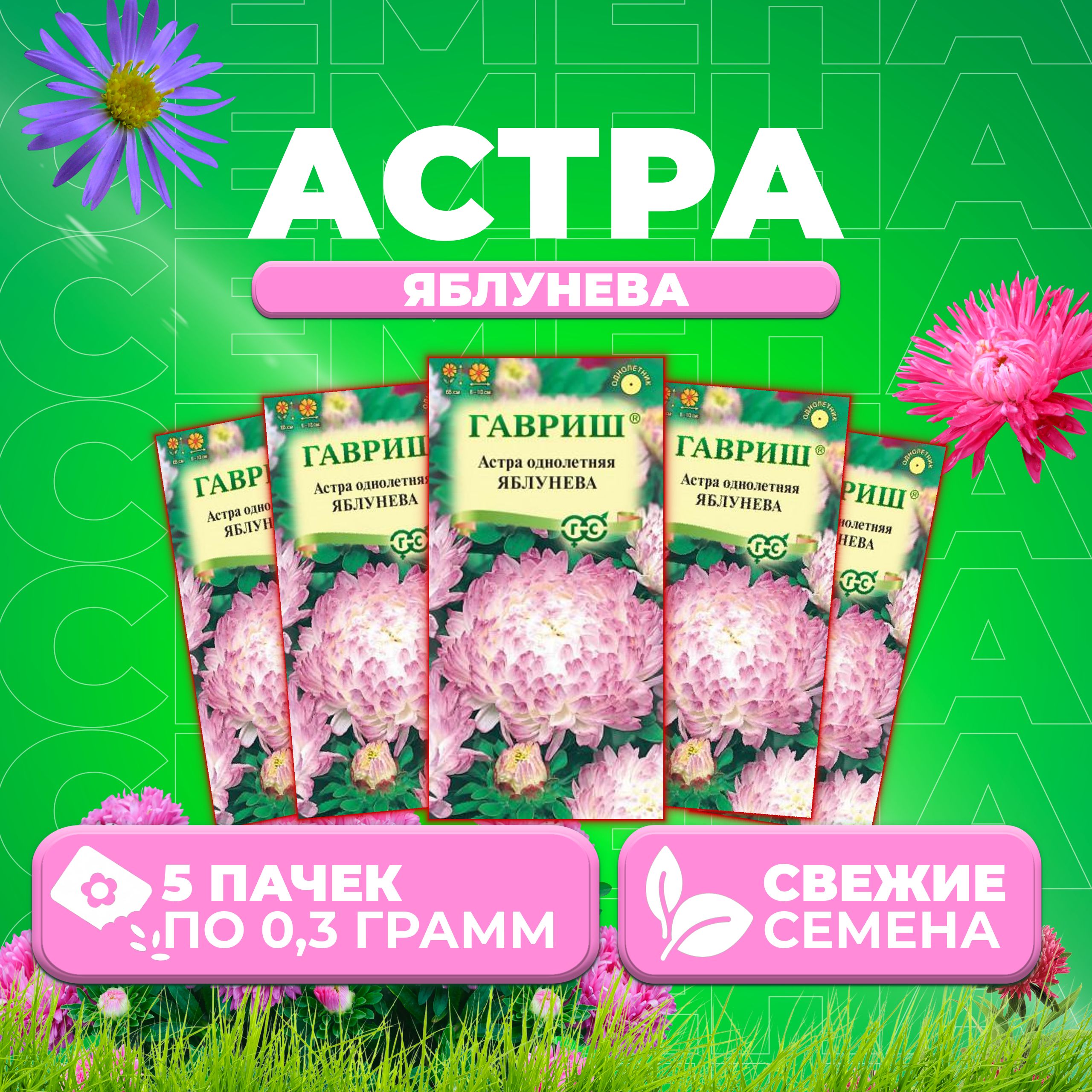 

Семена Астра Яблунева, пионовидная, 0,3г, Гавриш, Цветочная коллекция 5 уп