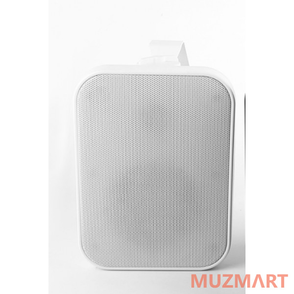 

SVS Audiotechnik WSP-40 White Громкоговоритель настенный