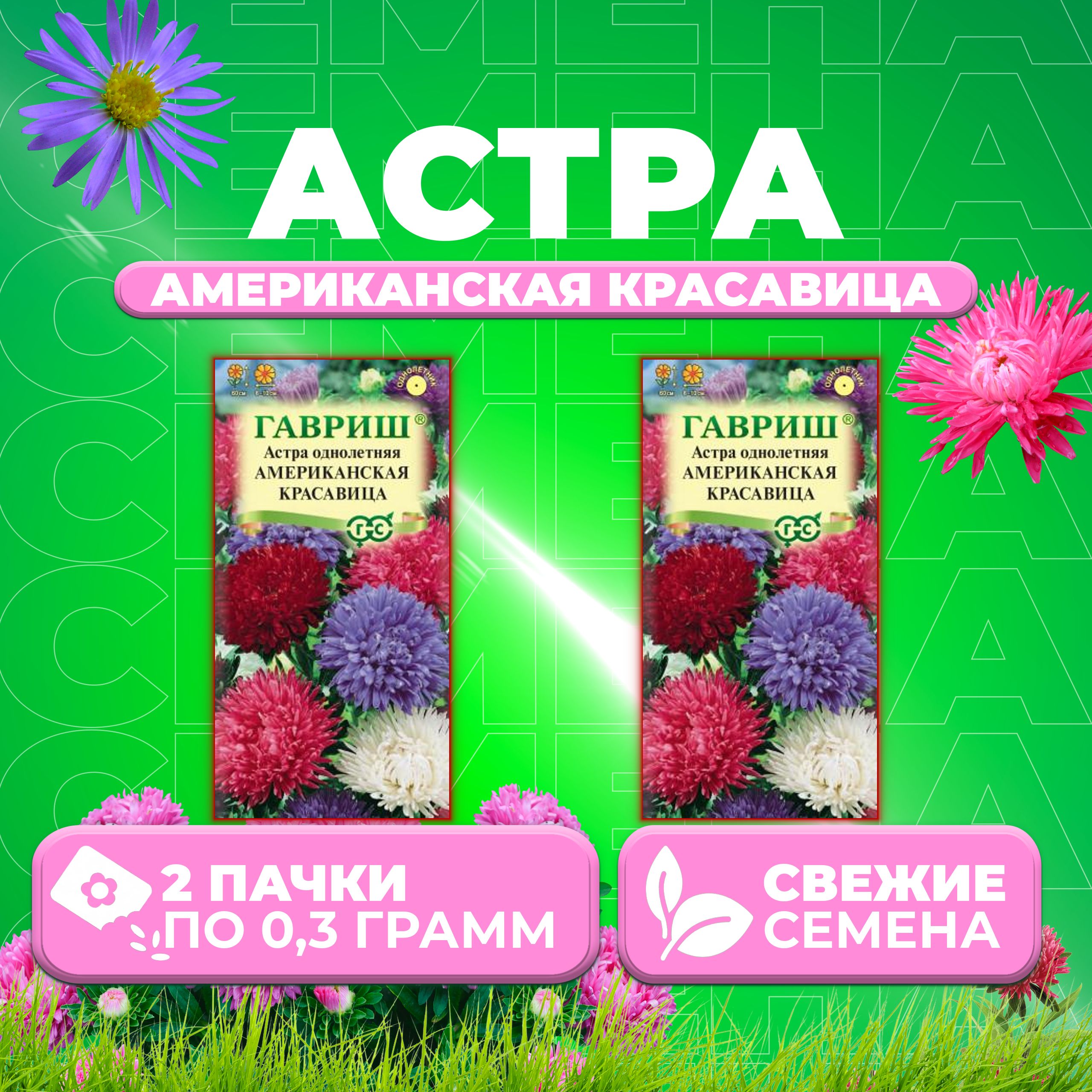 

Семена Астра Американская красавица, смесь, 0,3г, Гавриш, Цветочная коллекция 2 уп