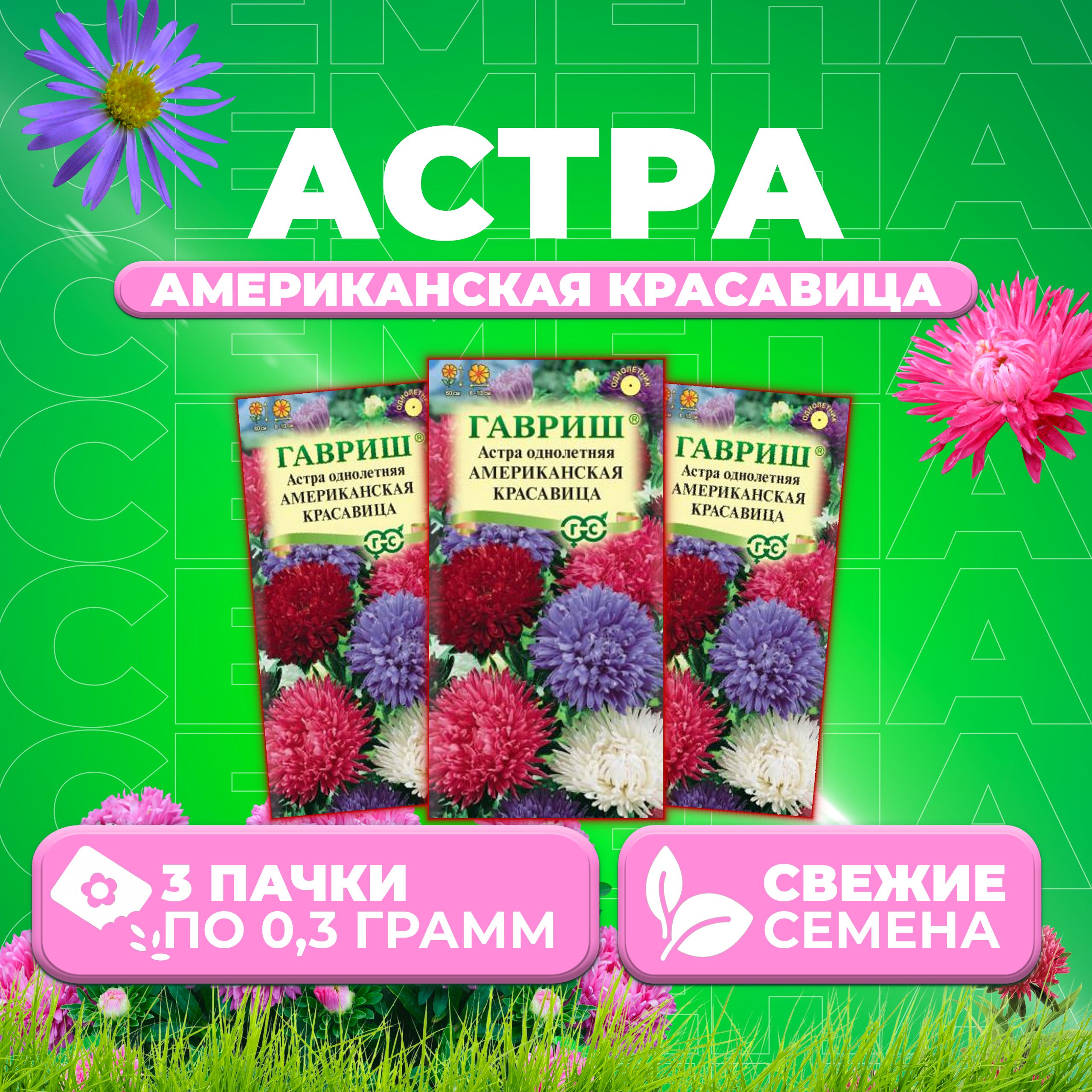 

Семена Астра Американская красавица, смесь, 0,3г, Гавриш, Цветочная коллекция 3 уп