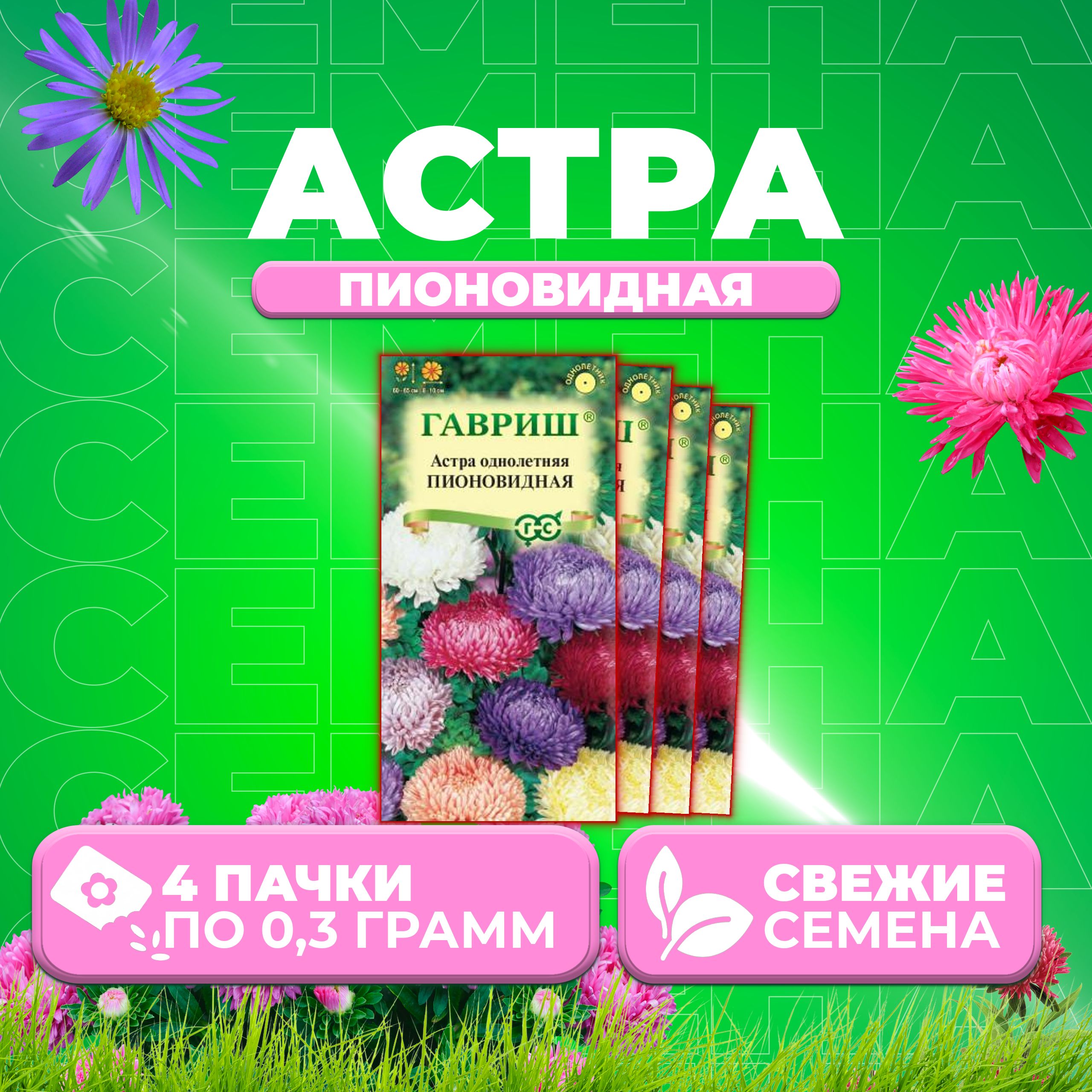 

Семена Астра Пионовидная, смесь, 0,3г, Гавриш, Цветочная коллекция 4 уп