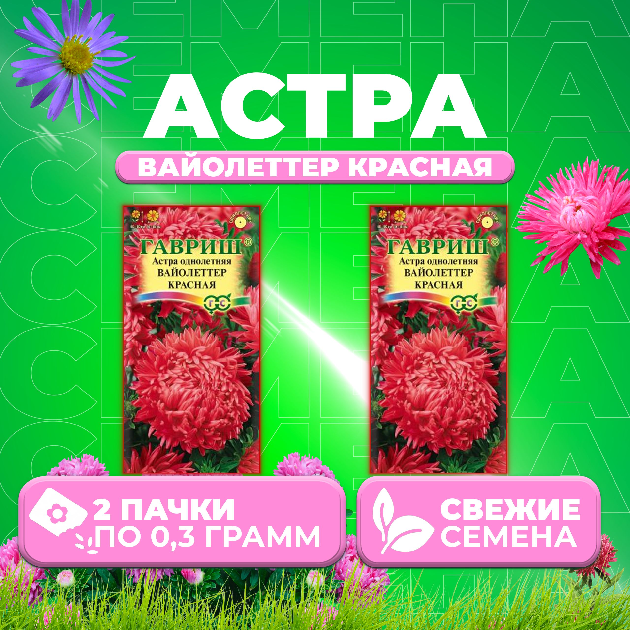 

Семена Астра Вайолеттер красная, пионовидная, 0,3г, Гавриш, Цветочная коллекция 2 уп
