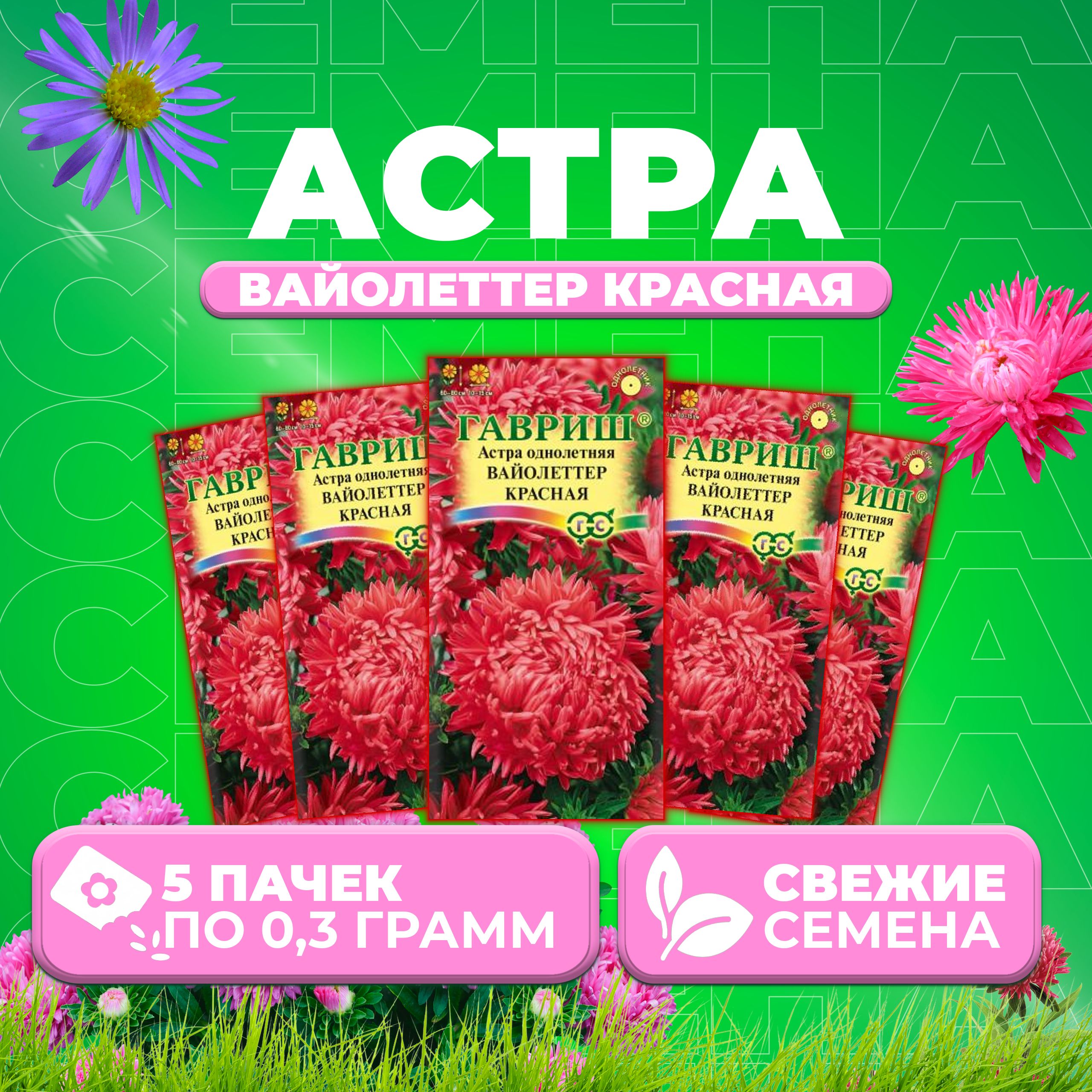 

Семена Астра Вайолеттер красная, пионовидная, 0,3г, Гавриш, Цветочная коллекция 5 уп