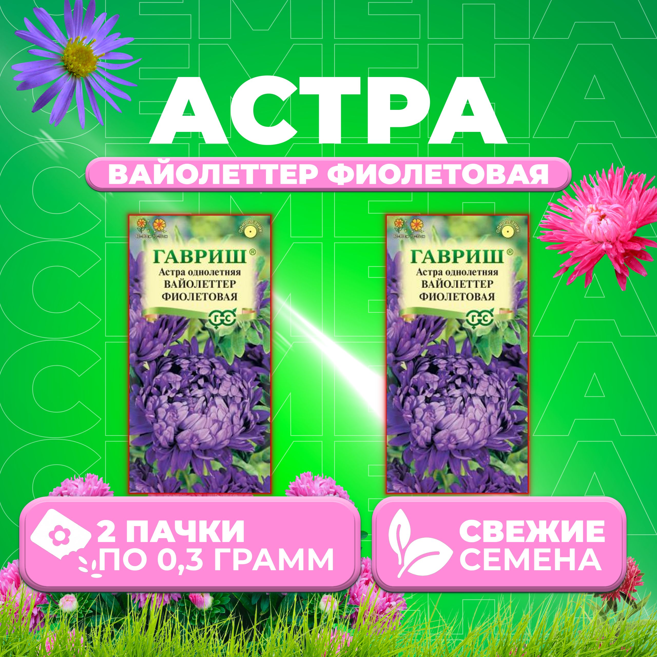 

Семена Астра Вайолеттер фиолетовая, пионовидная, 0,3г, Гавриш, Цветочная коллекция 2 уп