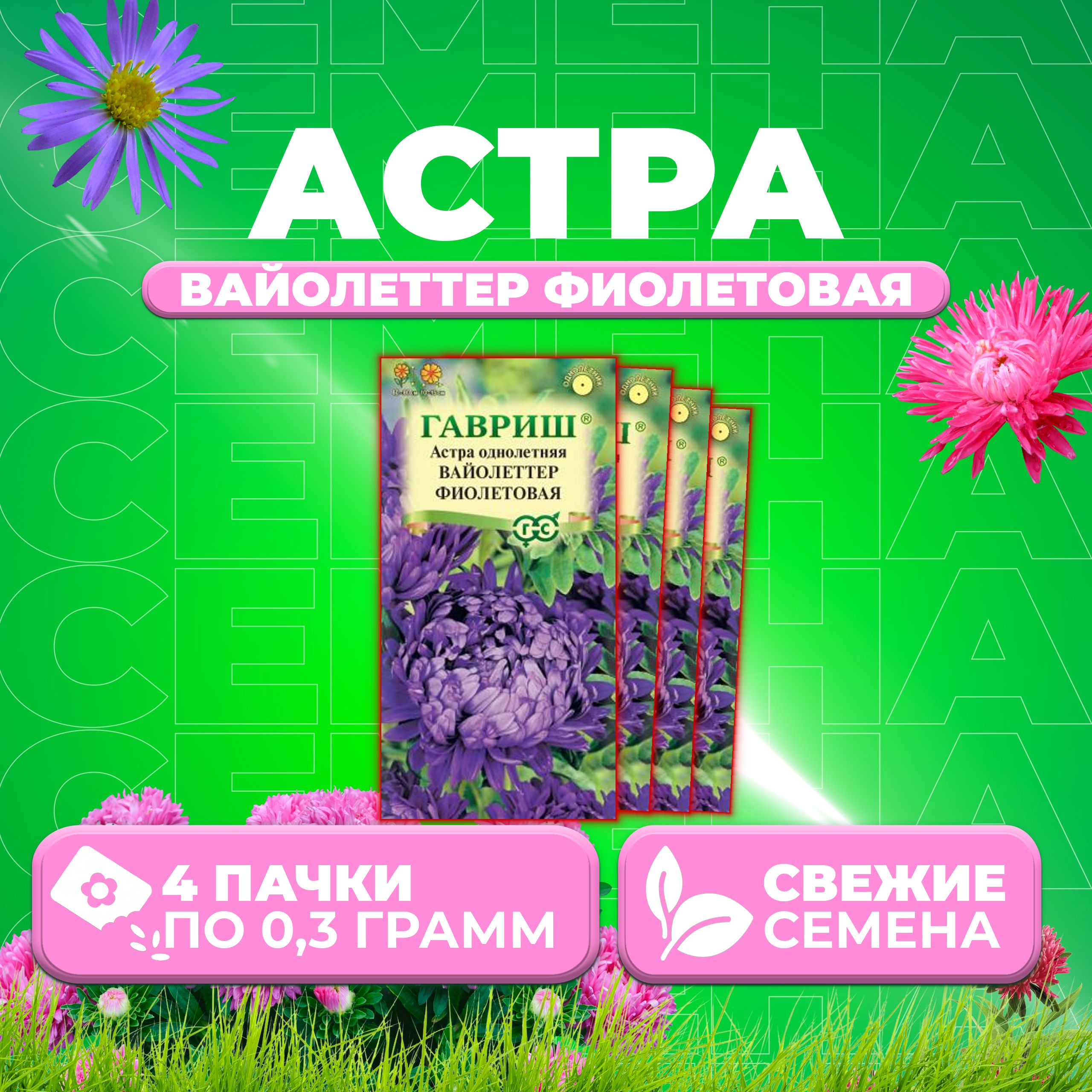 

Семена Астра Вайолеттер фиолетовая, пионовидная, 0,3г, Гавриш, Цветочная коллекция 4 уп