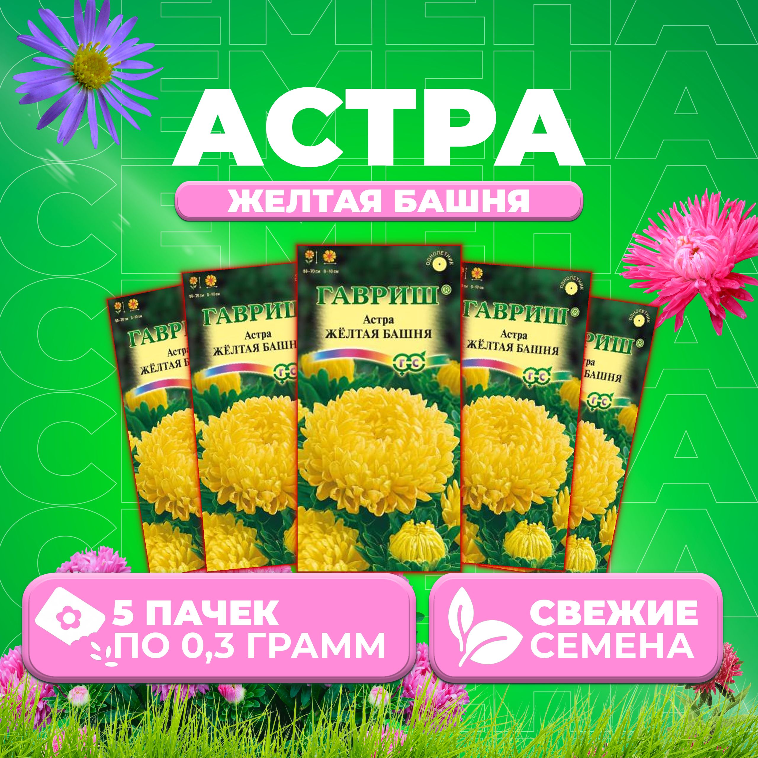 

Семена Астра Башня желтая, пионовидная, 0,3г, Гавриш, Цветочная коллекция 5 уп