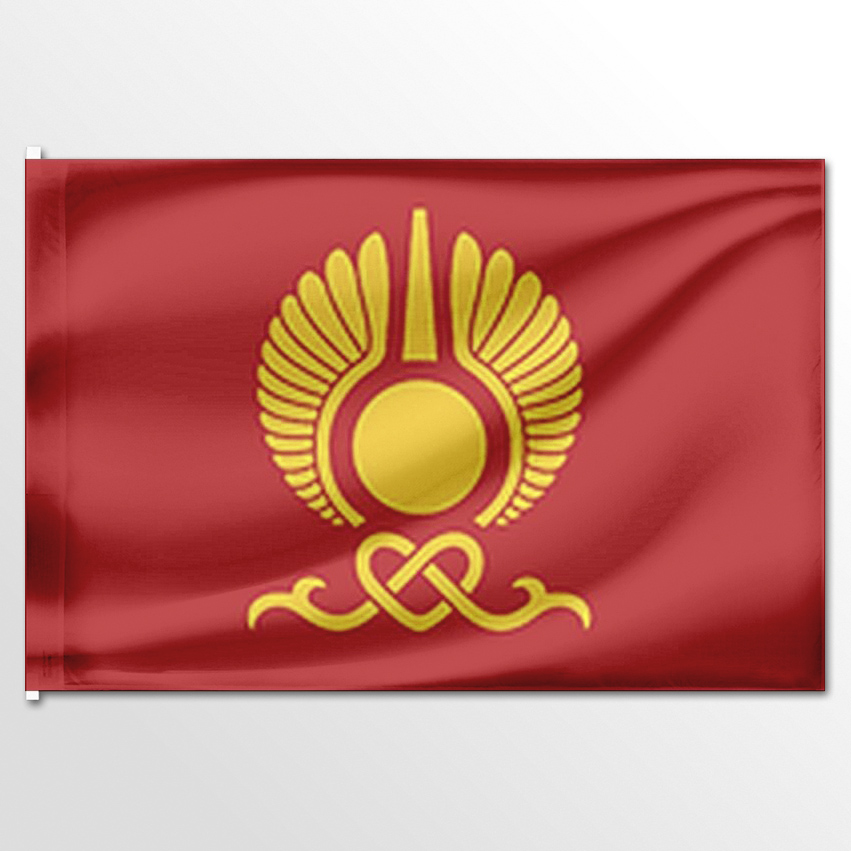 

Флаг ЦТП ФЕНИКС города Кызыл 135x90 см, 6656-135x90