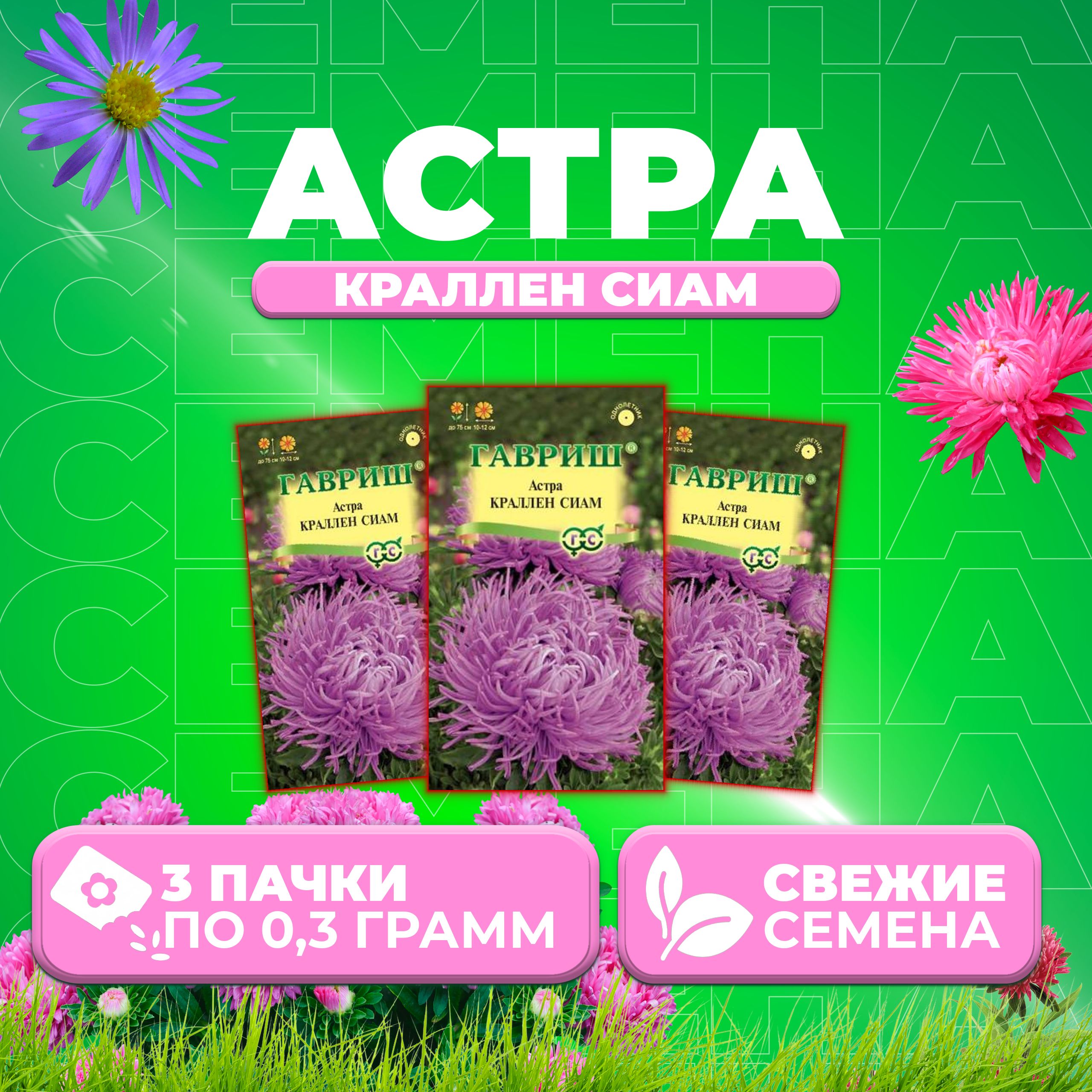 

Семена Астра Краллен Сиам, коготковая, 0,3г, Гавриш, Цветочная коллекция 3 уп