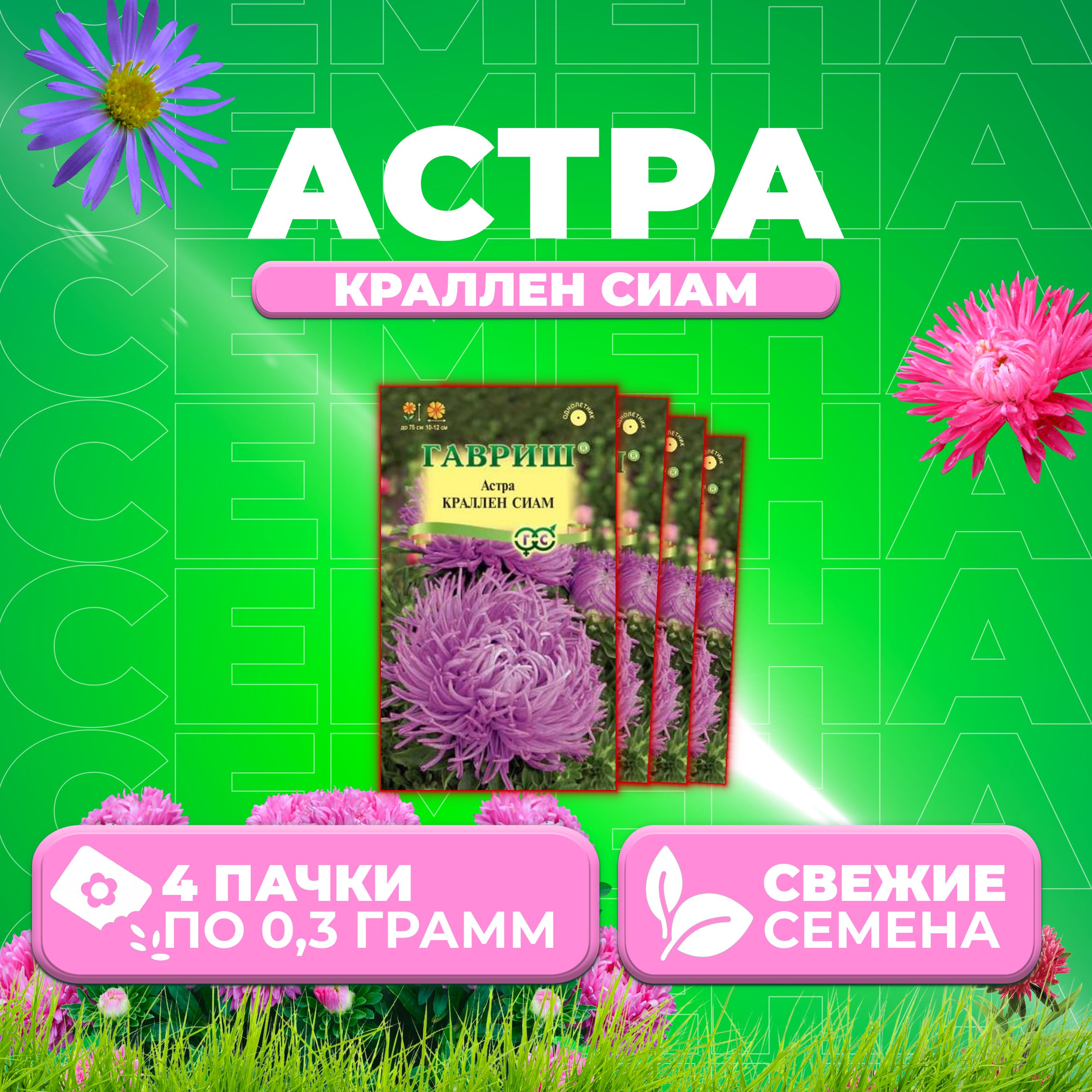 

Семена Астра Краллен Сиам, коготковая, 0,3г, Гавриш, Цветочная коллекция 4 уп