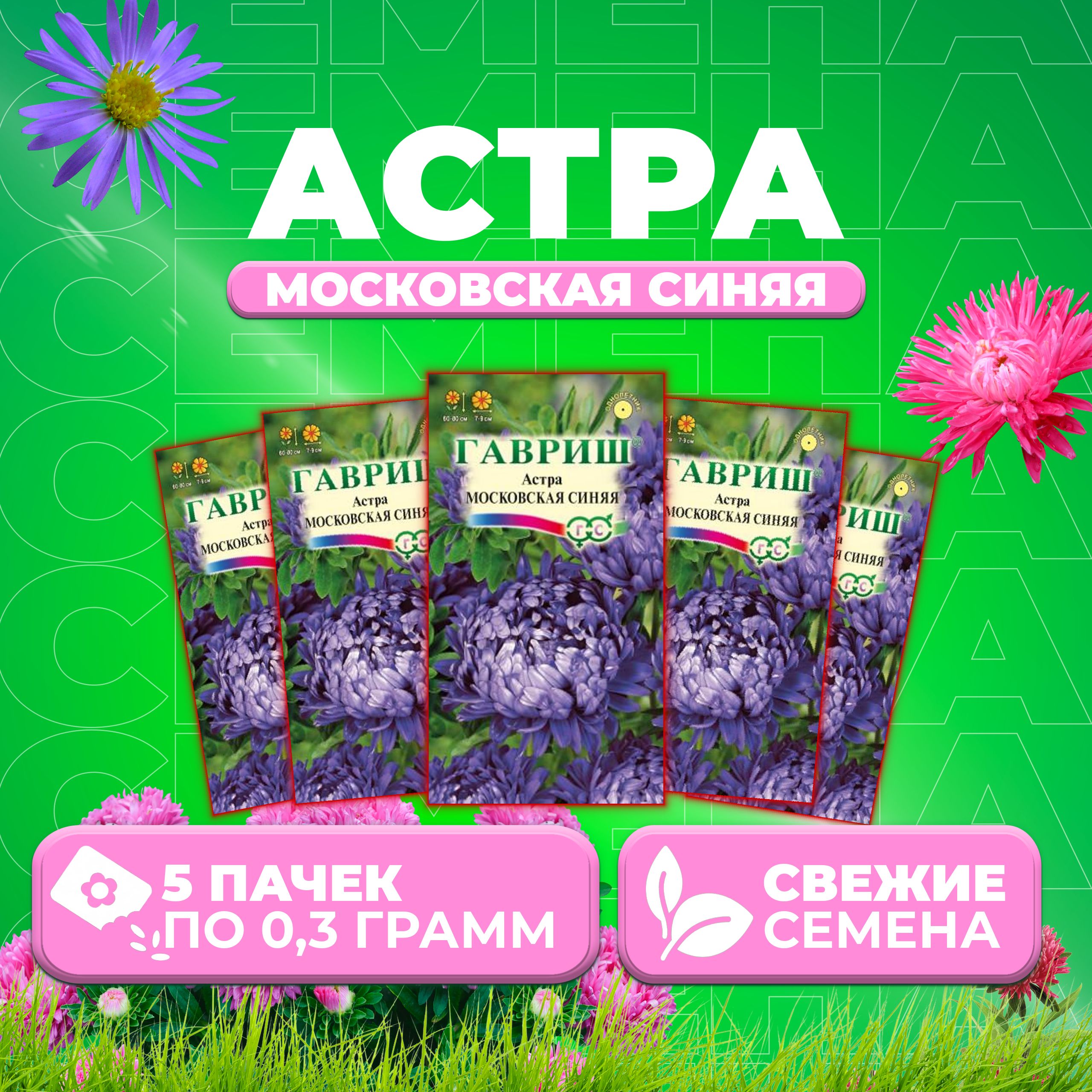 

Семена Астра Московская синяя, пионовидная, 0,3г, Гавриш, Цветочная коллекция 5 уп