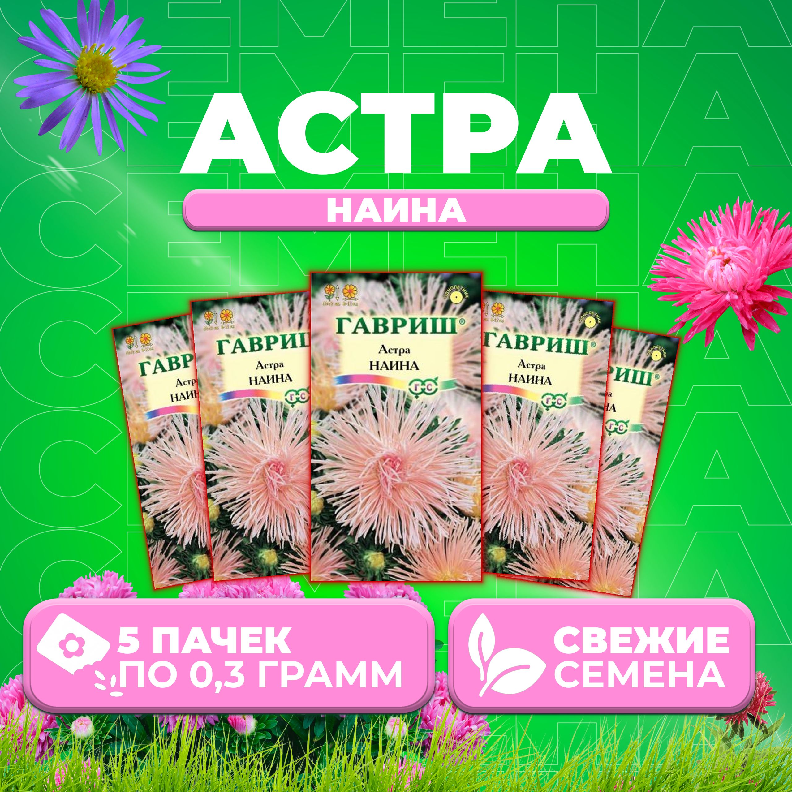 

Семена Астра Наина, игольчатая, 0,3г, Гавриш, Цветочная коллекция 5 уп