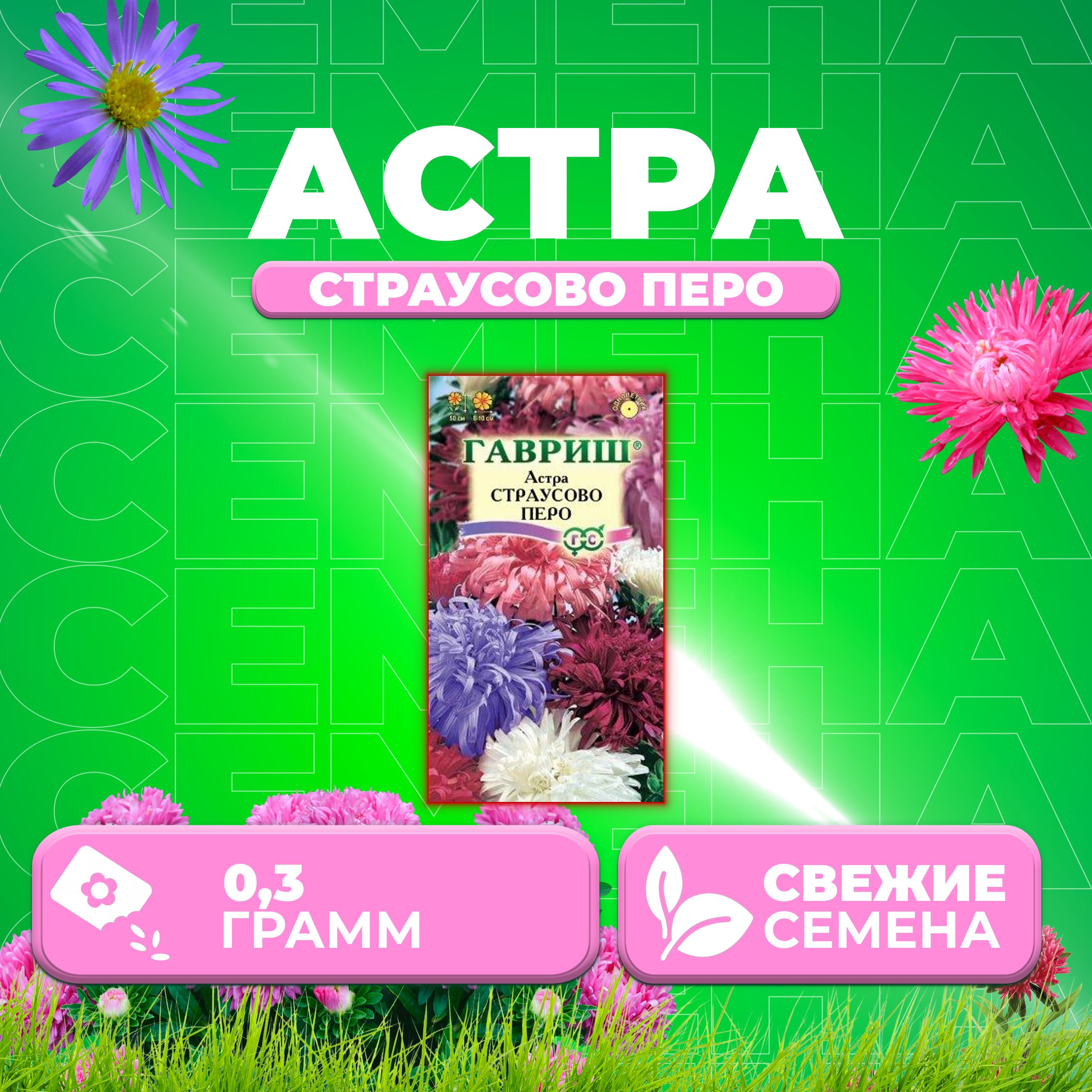 

Семена Астра Страусово перо, смесь, 0,3г, Гавриш, Цветочная коллекция 1 уп