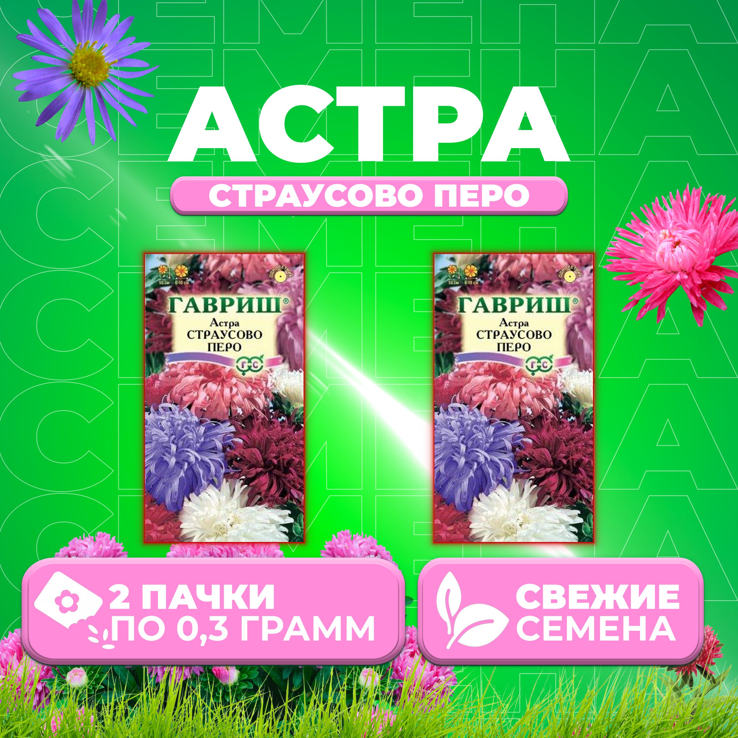

Семена Астра Страусово перо, смесь, 0,3г, Гавриш, Цветочная коллекция 2 уп