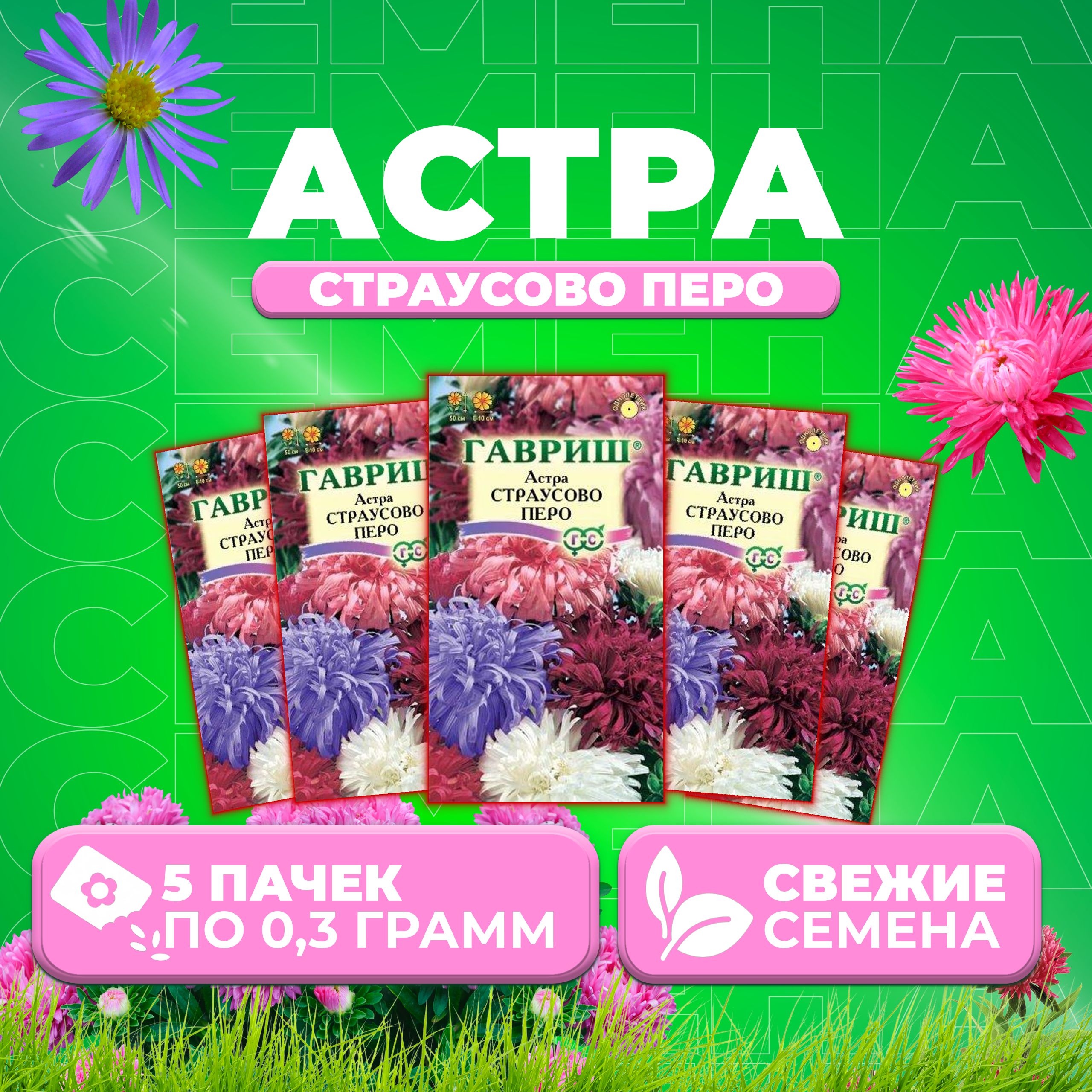

Семена Астра Страусово перо, смесь, 0,3г, Гавриш, Цветочная коллекция 5 уп