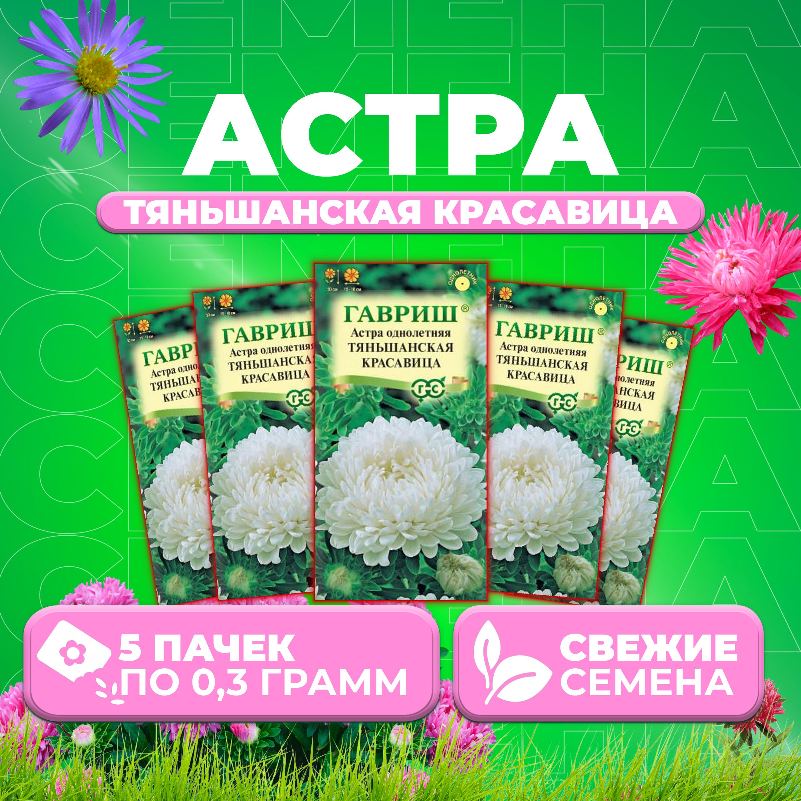 

Семена Астра Тяньшанская красавица, пионовидная, 0,3г, Гавриш, Цветочная коллекция 5 уп