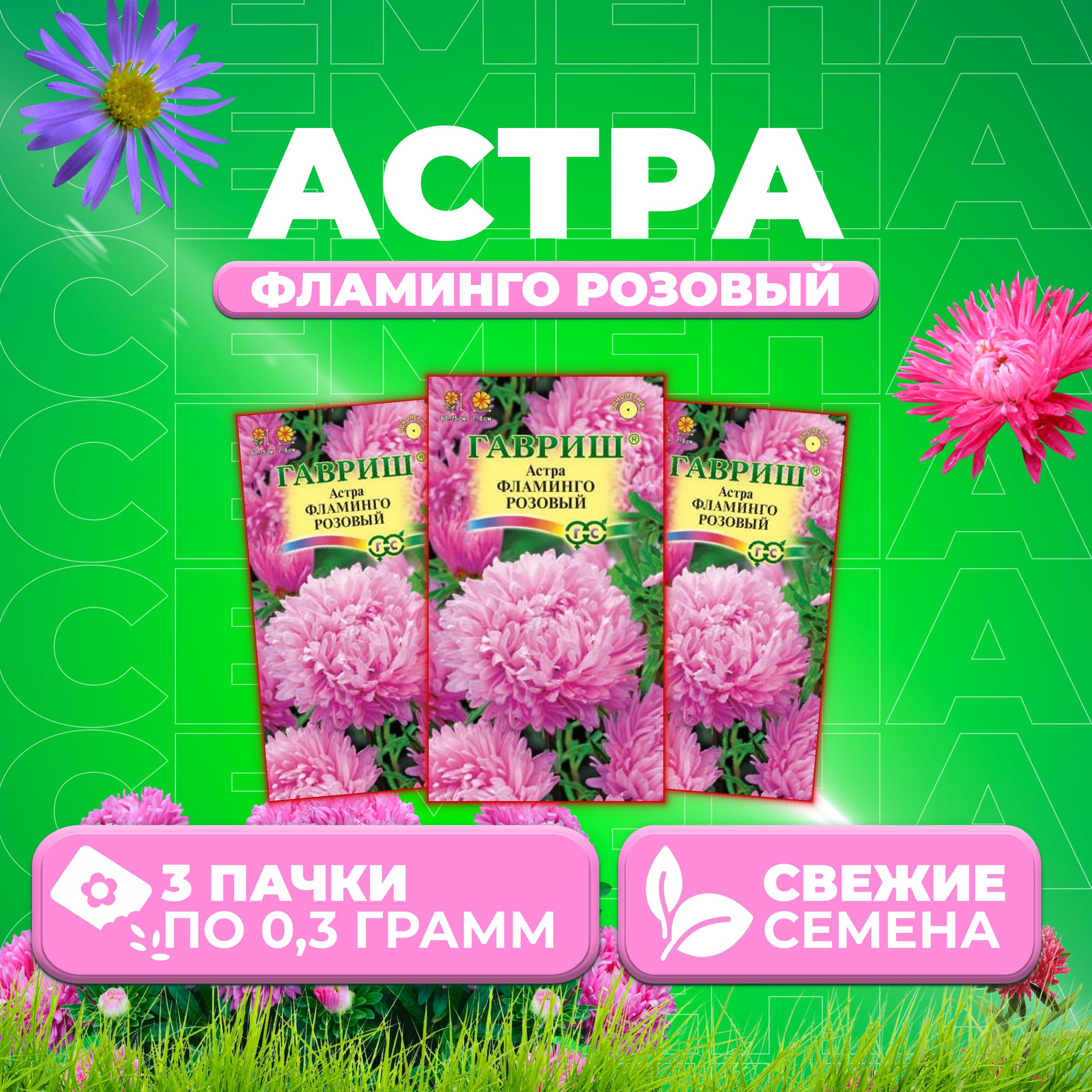 

Семена Астра Фламинго розовый, пионовидная, 0,3г, Гавриш, Цветочная коллекция 3 уп