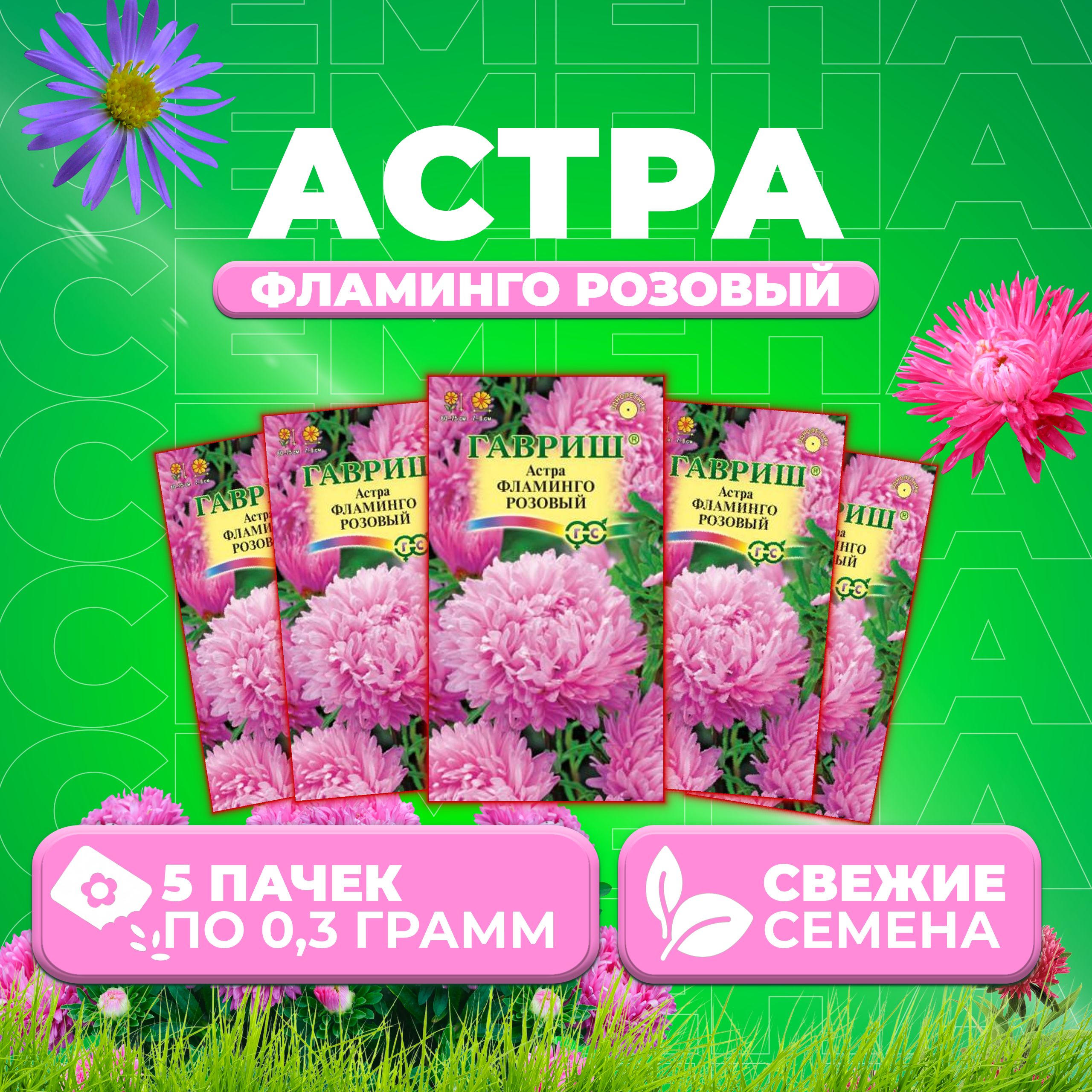 

Семена Астра Фламинго розовый, пионовидная, 0,3г, Гавриш, Цветочная коллекция 5 уп