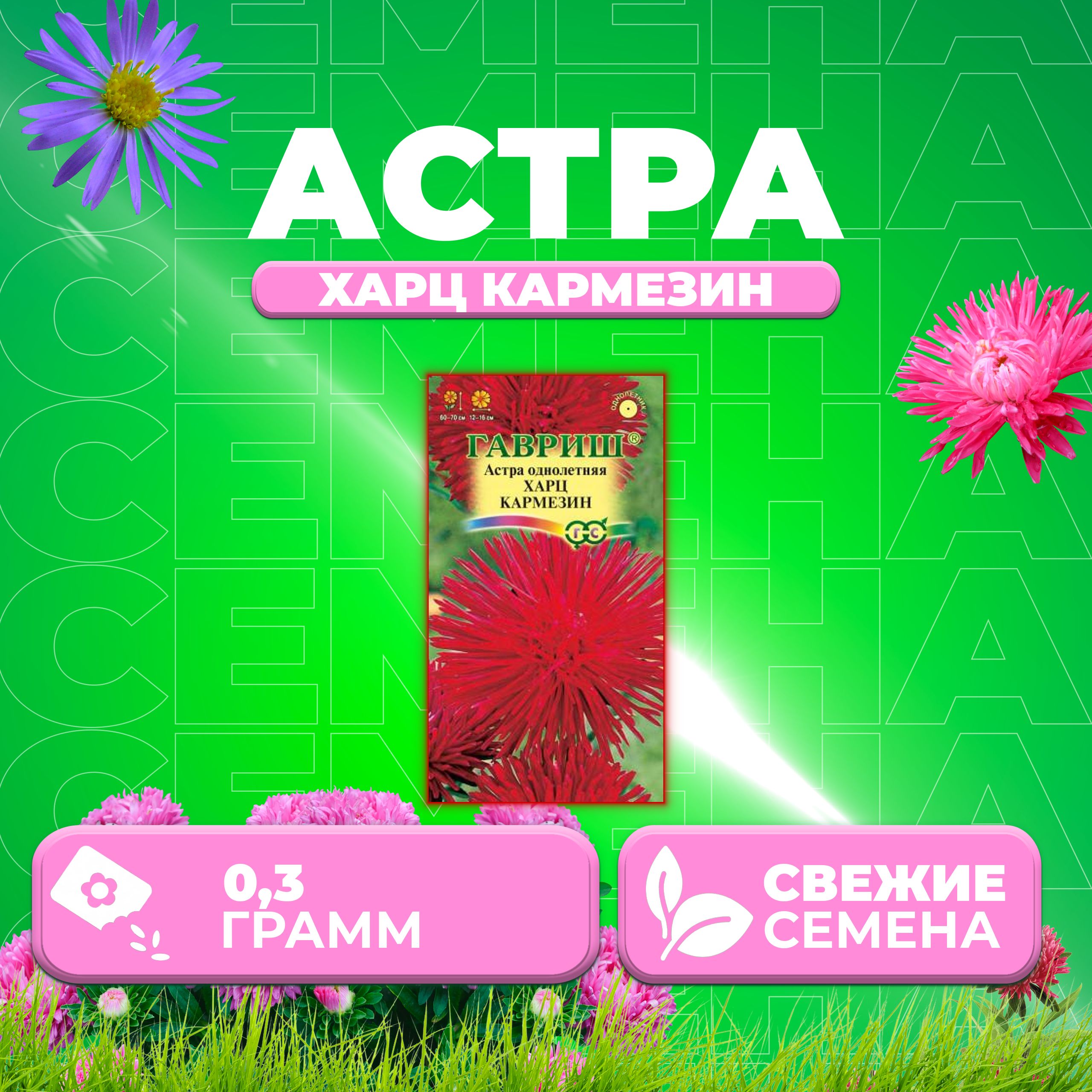 

Семена Астра Харц Кармезин, тонкоигольчатая, 0,3г, Гавриш, Цветочная коллекция 1 уп