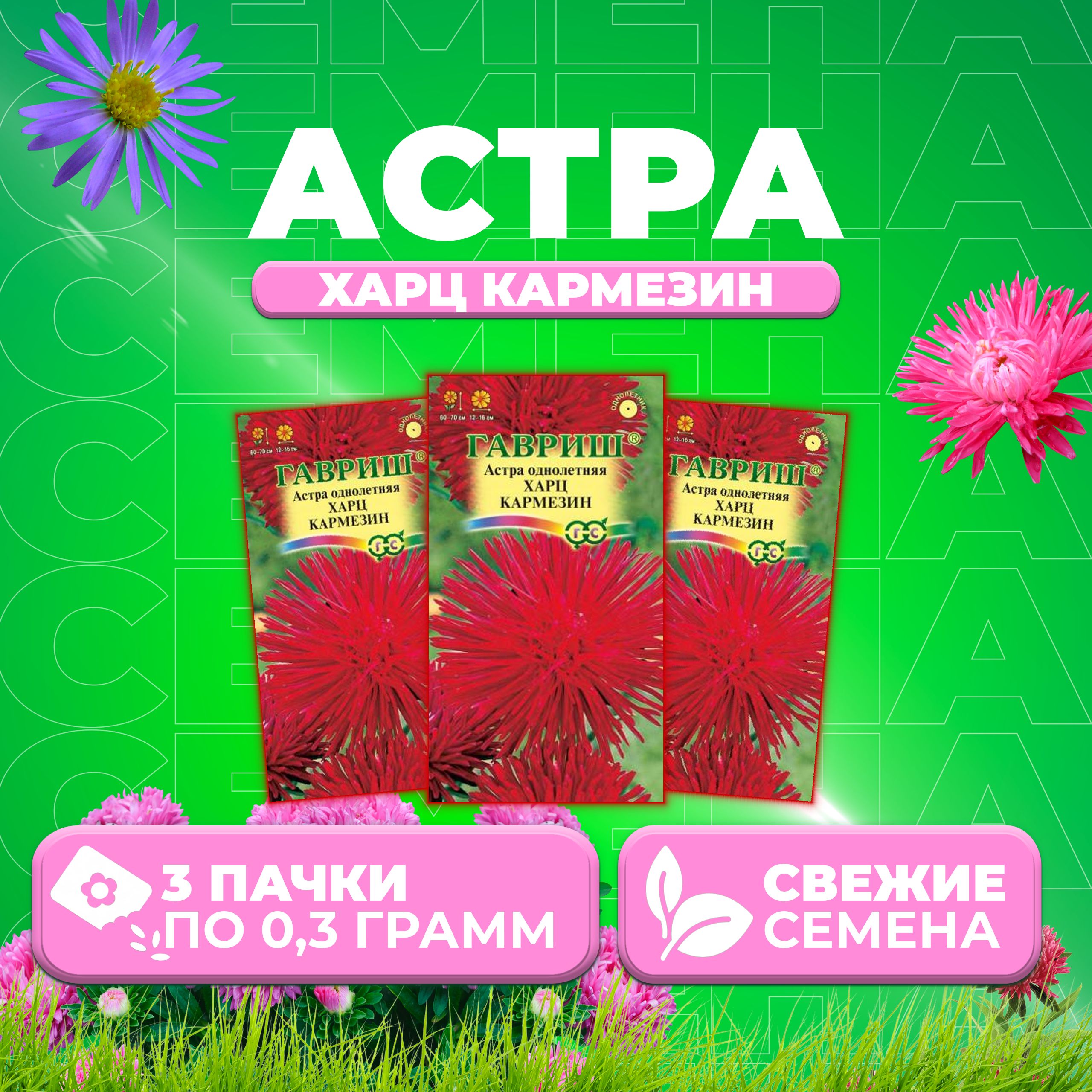 

Семена Астра Харц Кармезин, тонкоигольчатая, 0,3г, Гавриш, Цветочная коллекция 3 уп