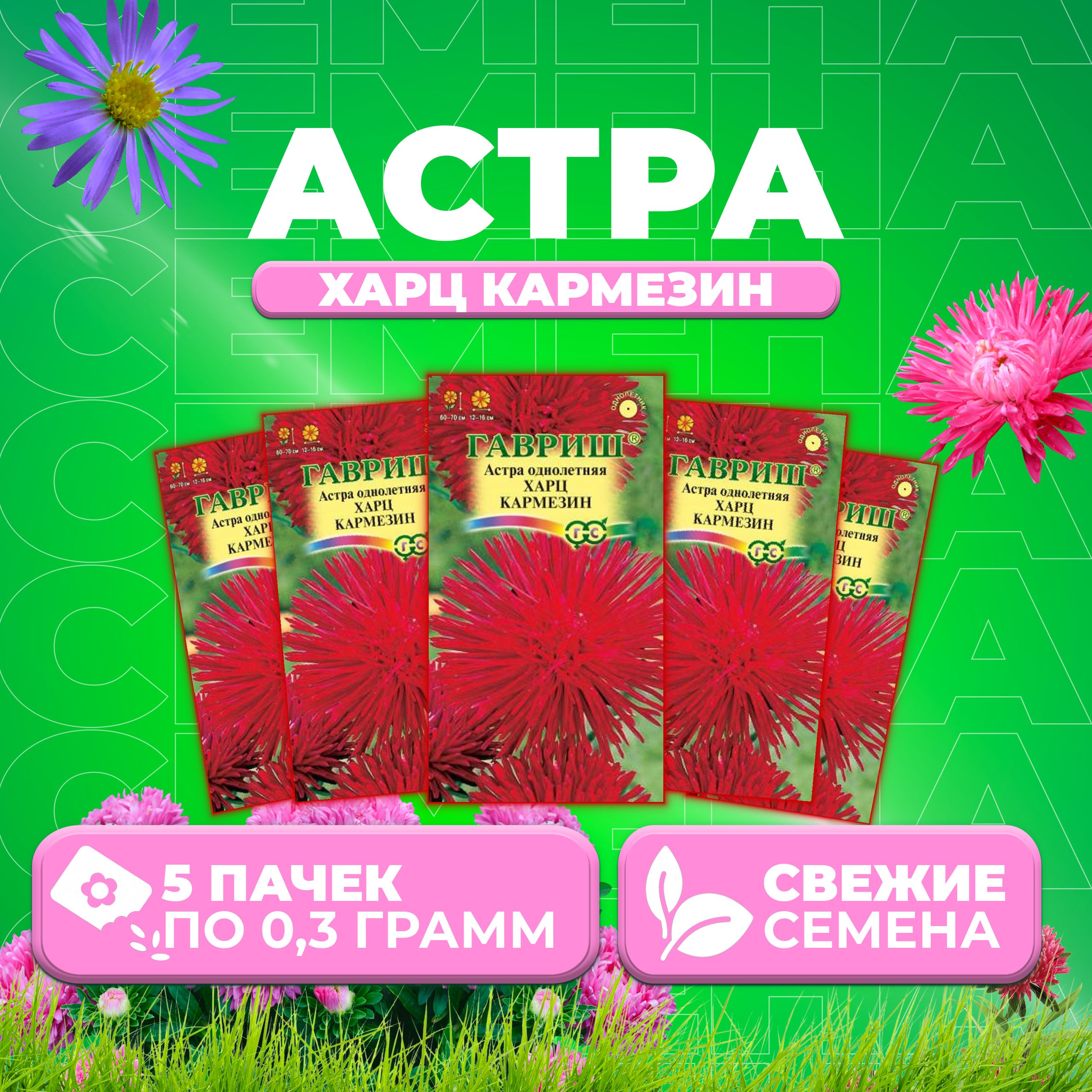 

Семена Астра Харц Кармезин, тонкоигольчатая, 0,3г, Гавриш, Цветочная коллекция 5 уп